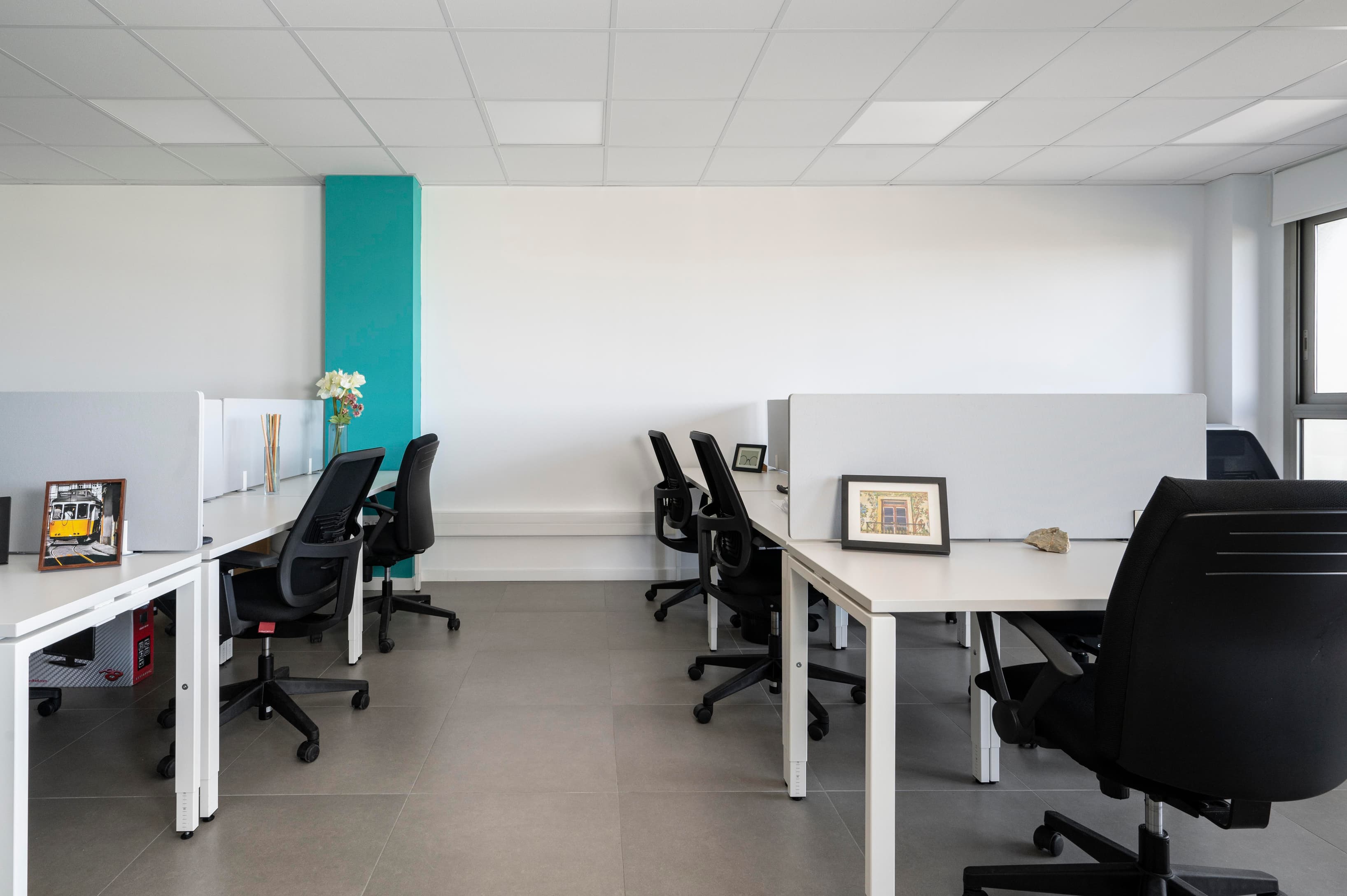 PALMA DE MALLORCA, Palma image 2 PALMA DE MALLORCA, Palma image 2