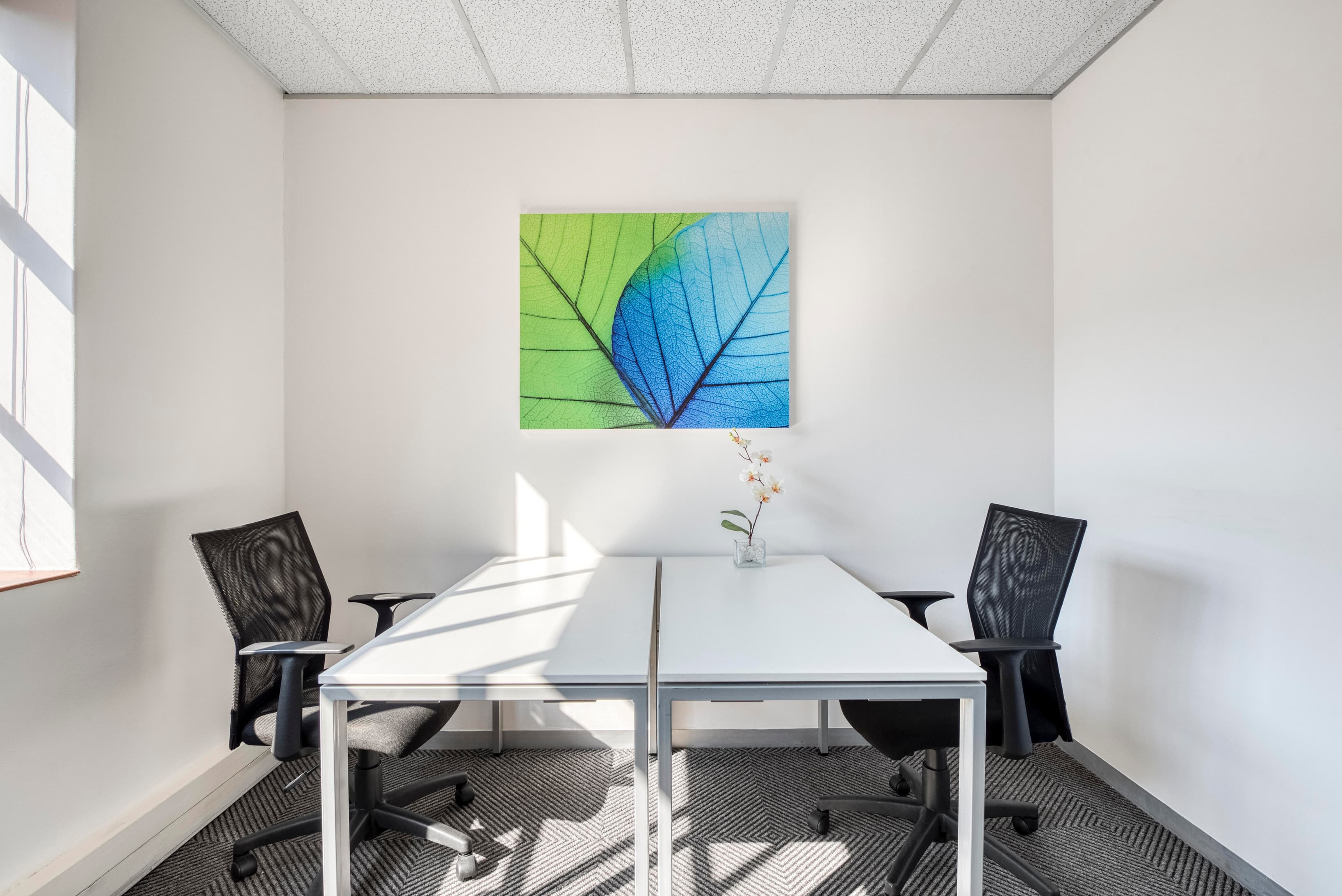 RANDBURG, Surrey Avenue image 5 RANDBURG, Surrey Avenue image 5