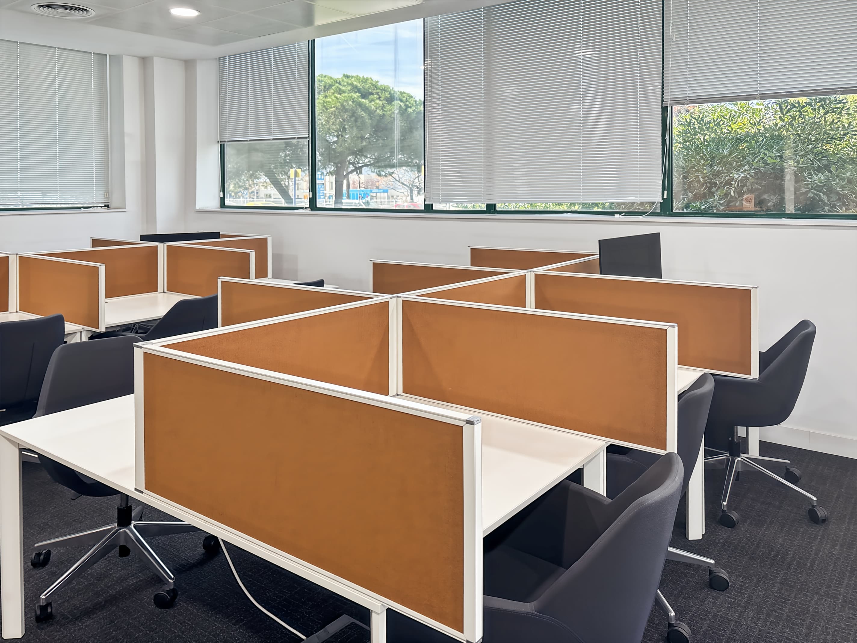 BARCELONA, Mas Blau image 10