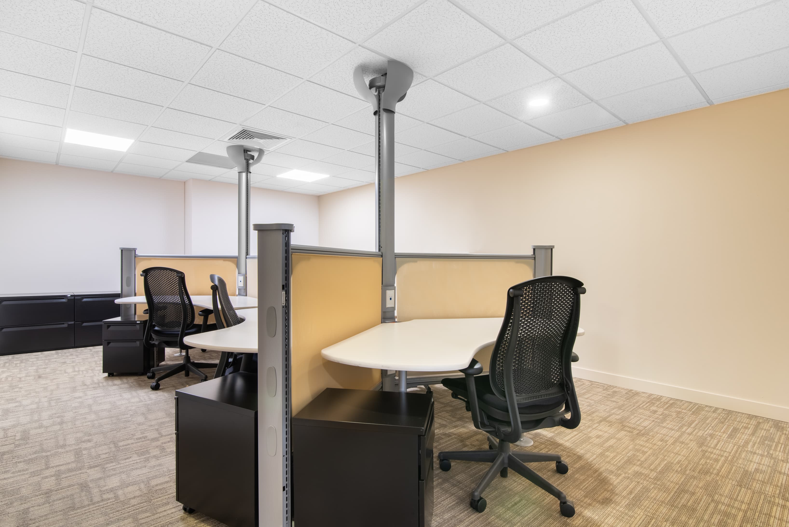 BOGOTA, Tierra Firme image 7