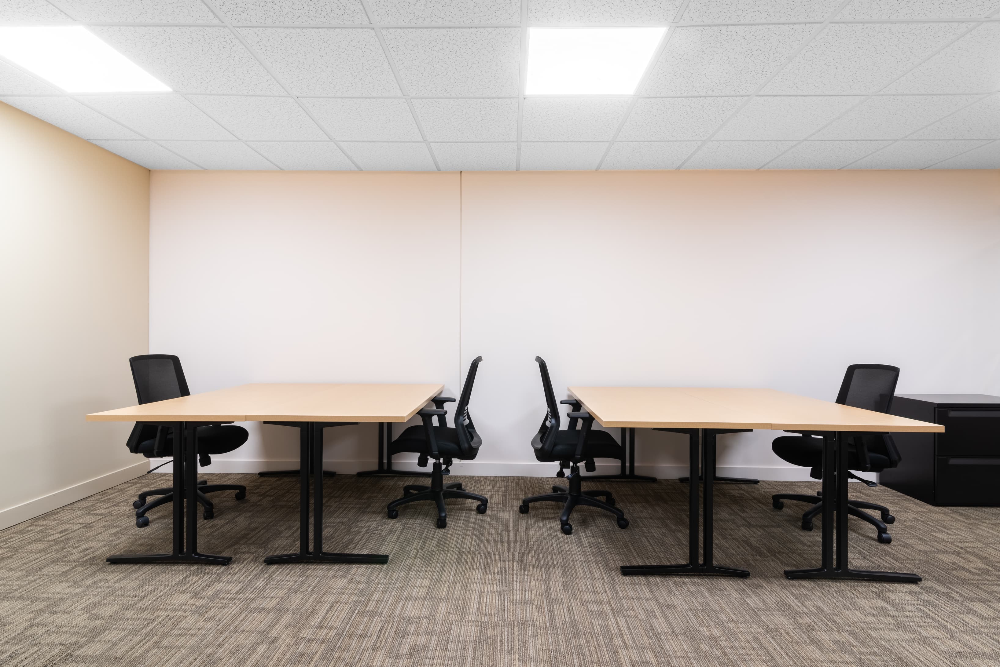 BOGOTA, Tierra Firme image 4