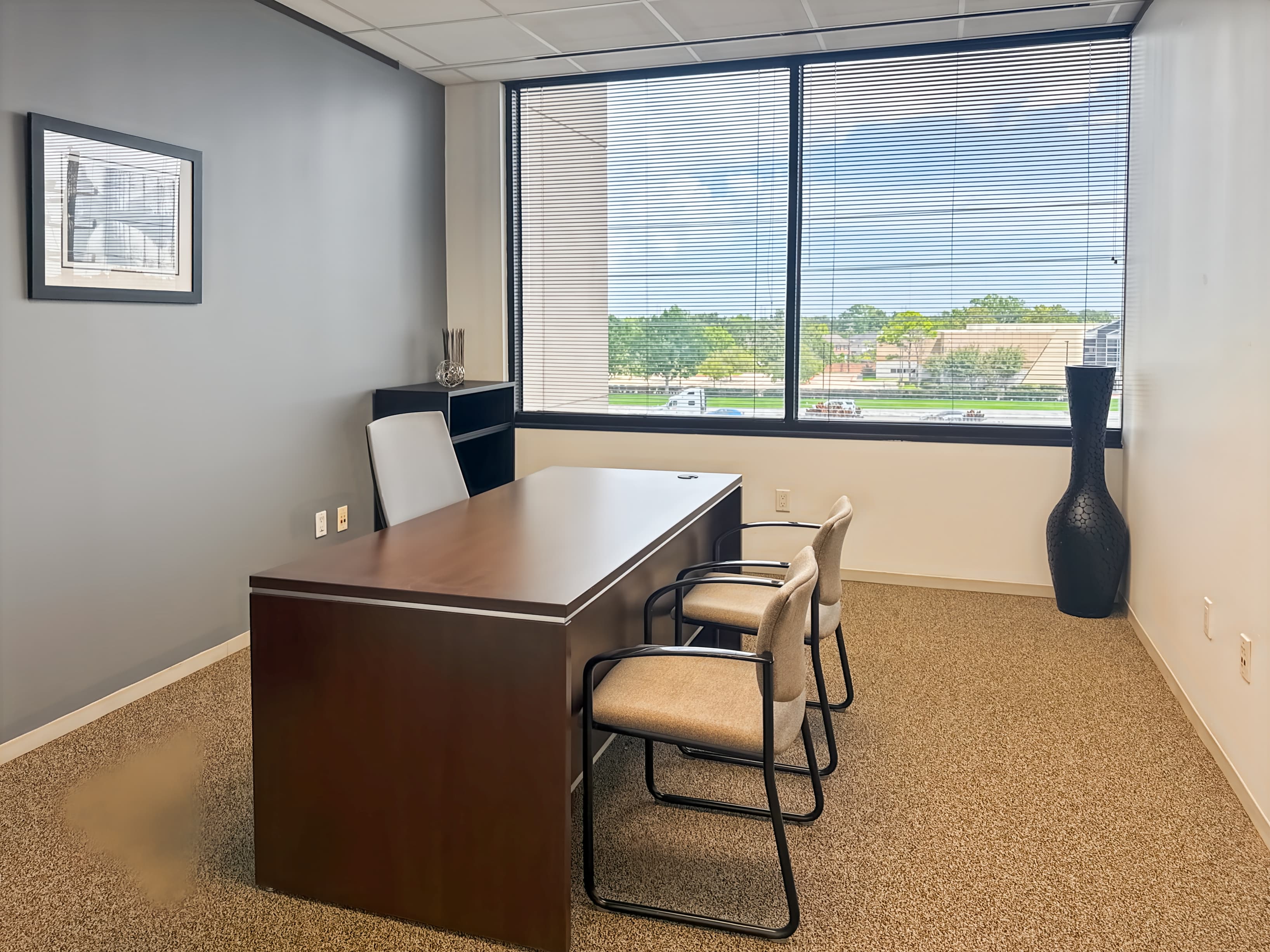 TX, Sugar Land - Williams Trace image 14