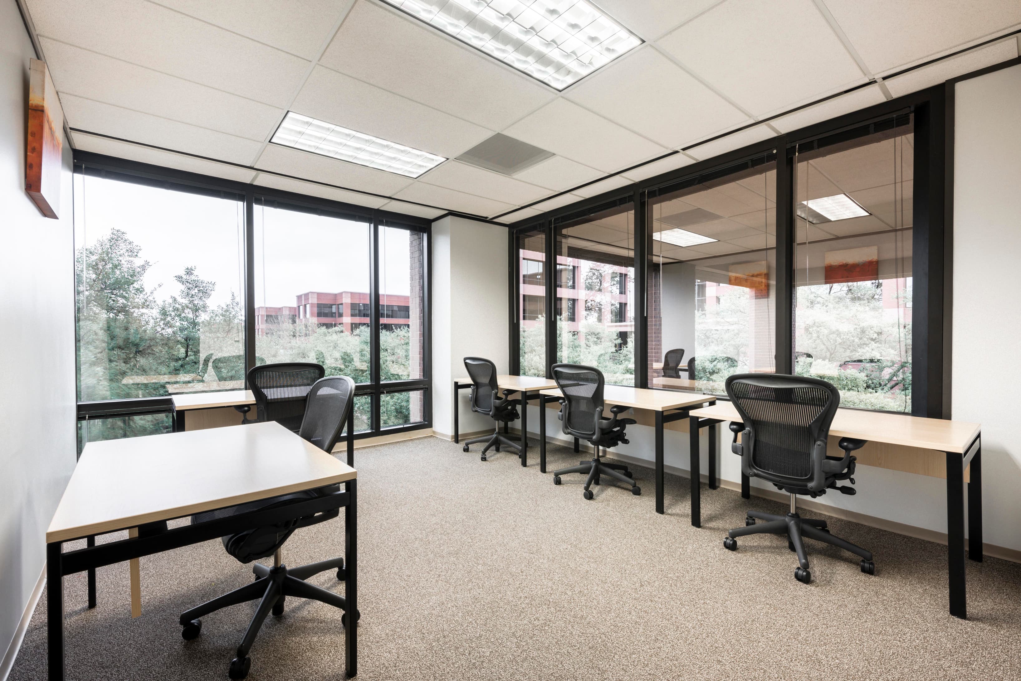 TX, Austin - Barton Springs image 8