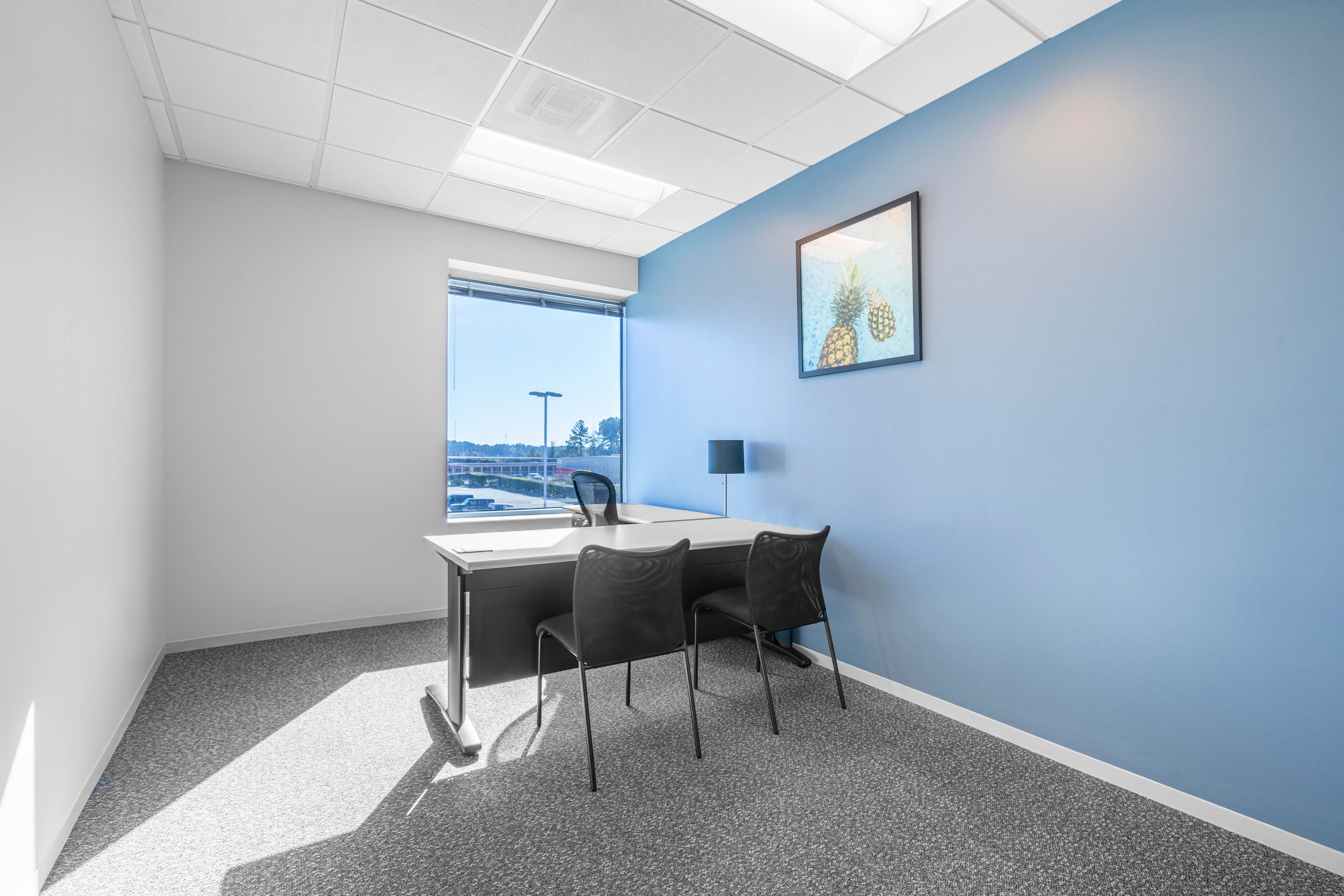 TX, Spring - Springwoods image 7