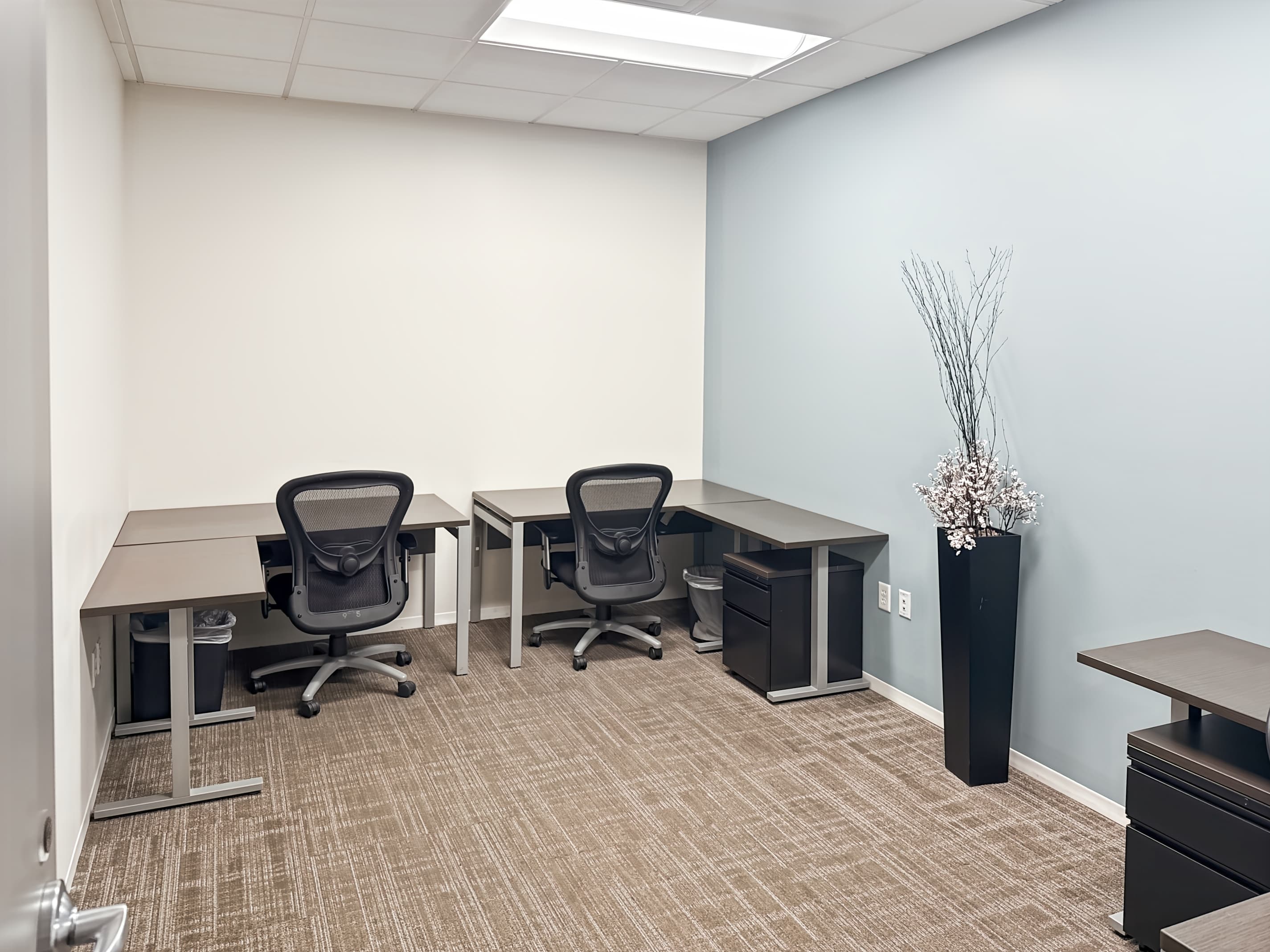 NV, Las Vegas - Downtown Summerlin image 5