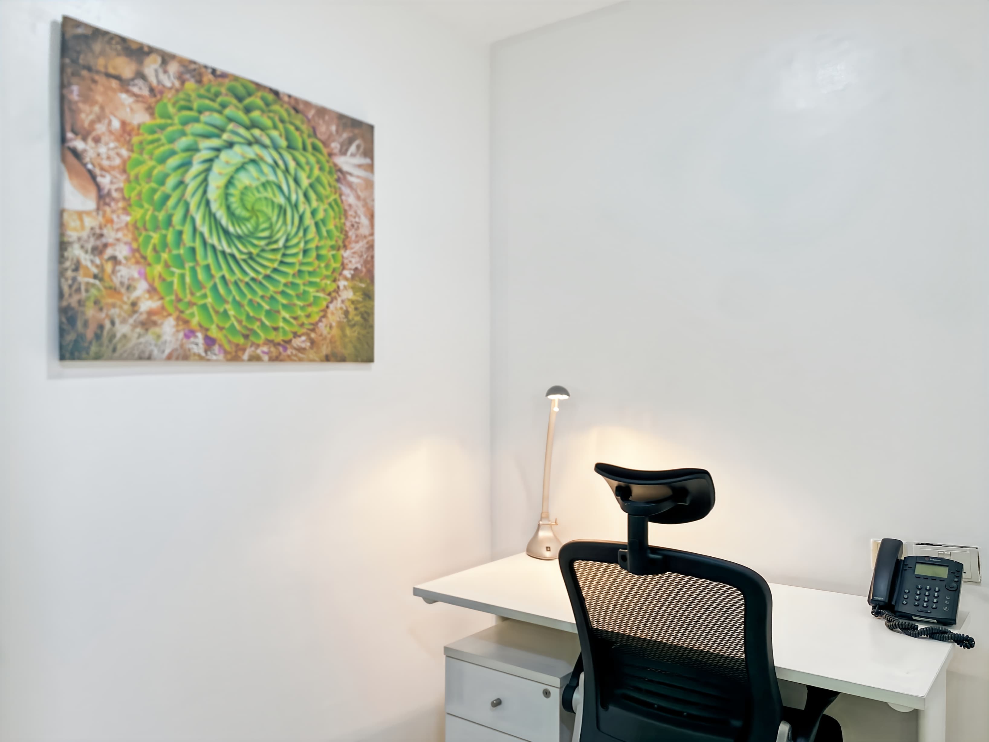 ABUJA, Constitution Avenue image 14