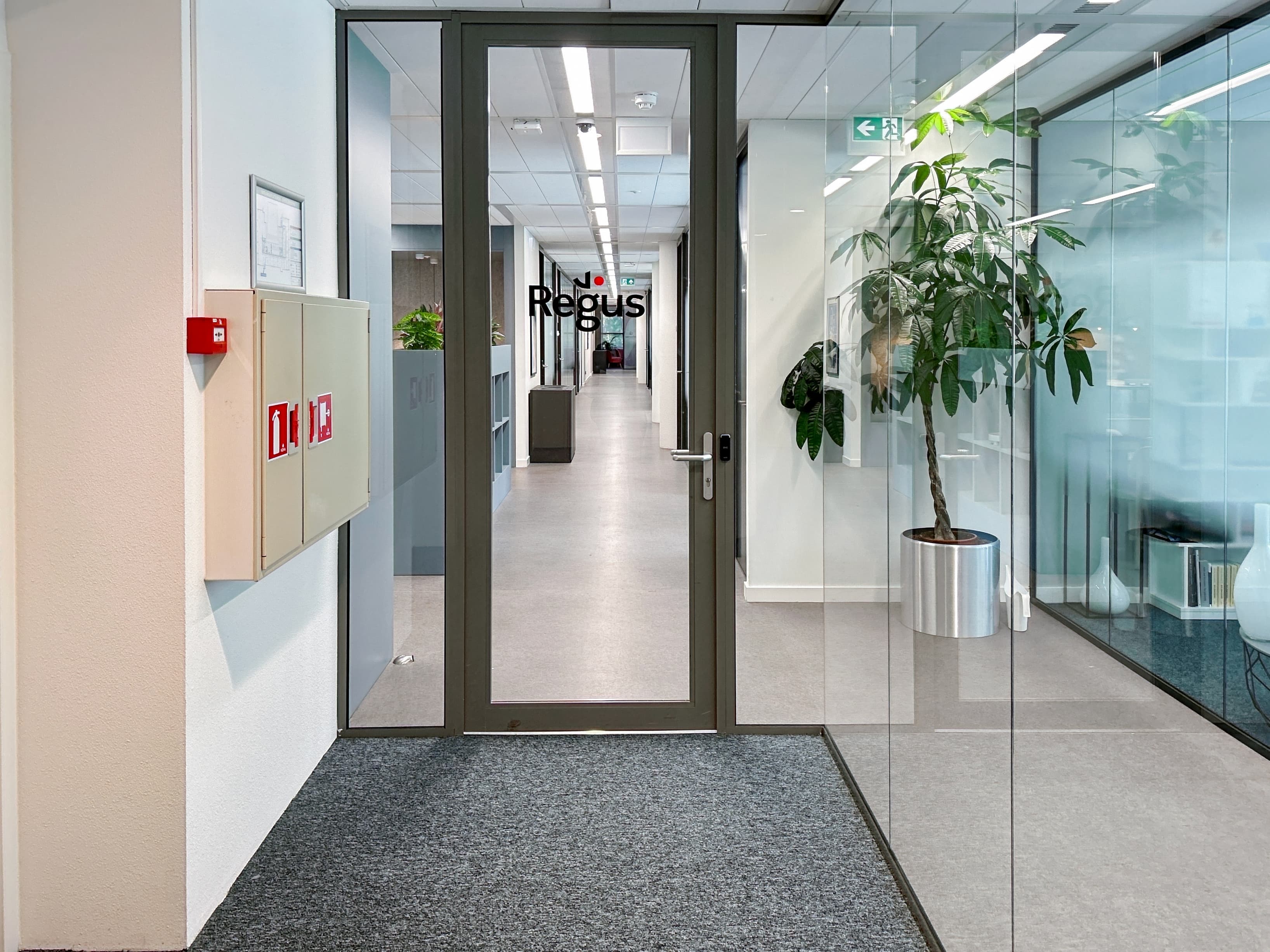 Secoya Papendorp image 6