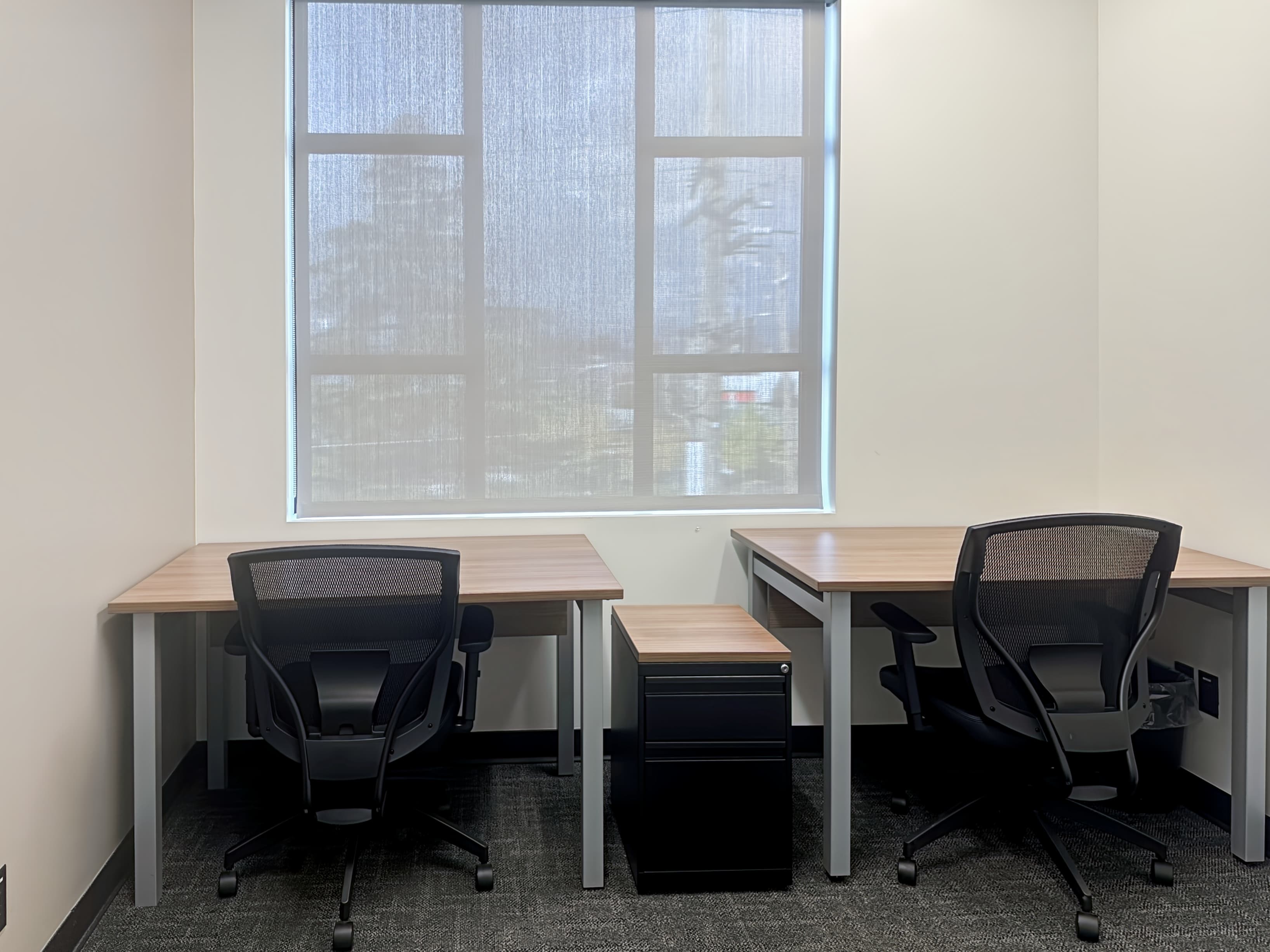 BC, Surrey - South Surrey image 10