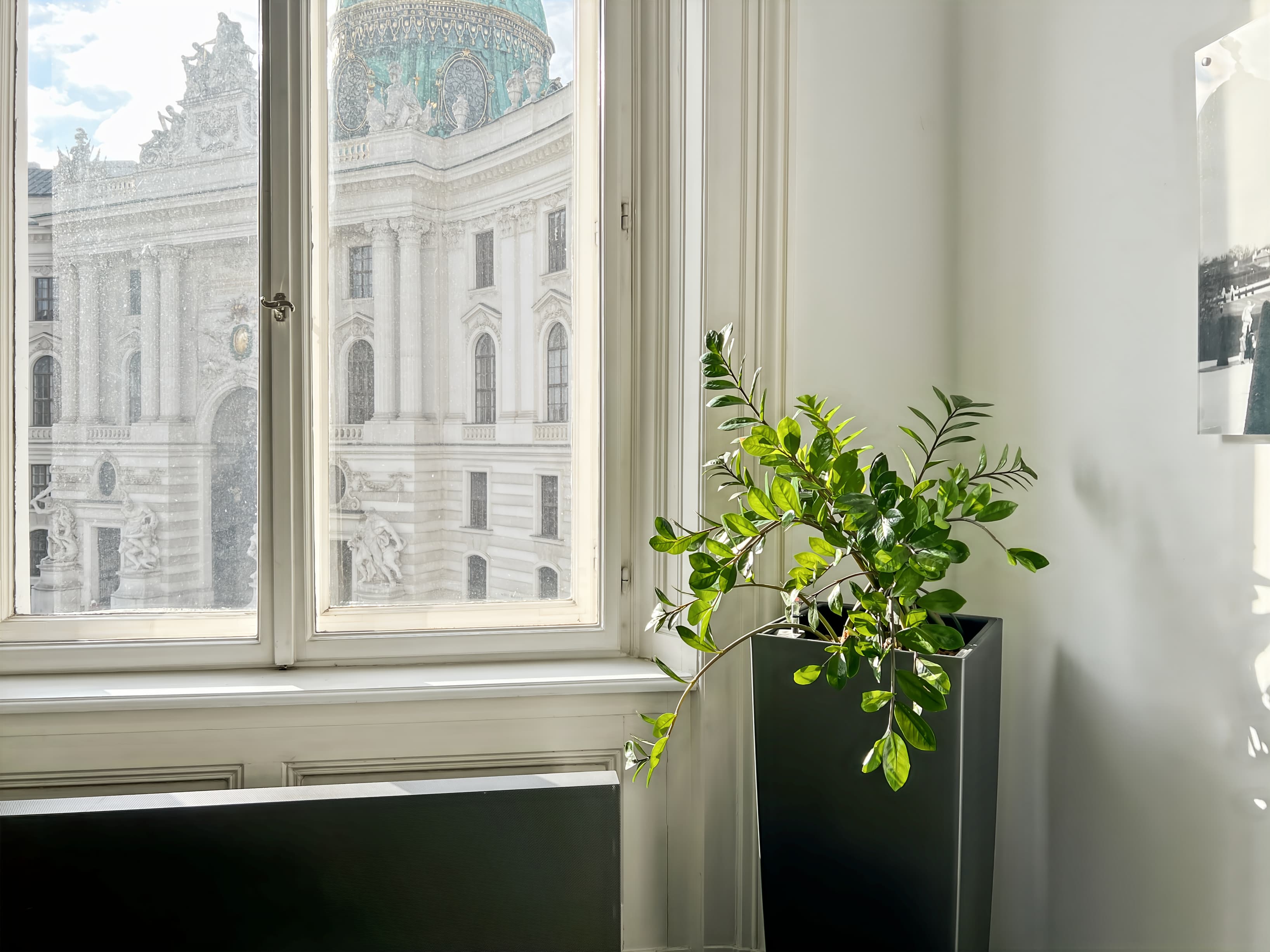 VIENNA, Le Palais image 7 VIENNA, Le Palais image 7