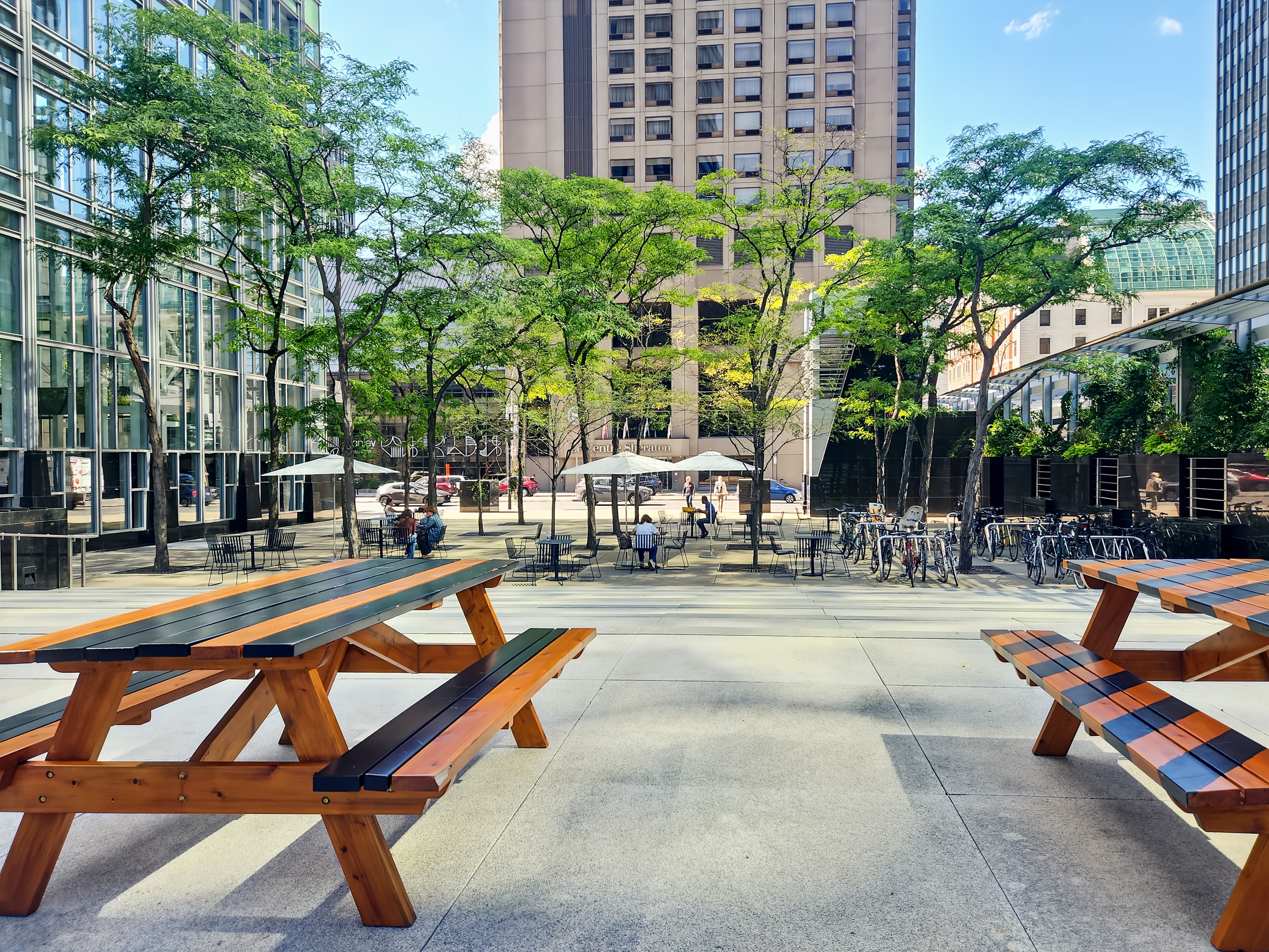 QC, Montreal - Rene Levesque image 12