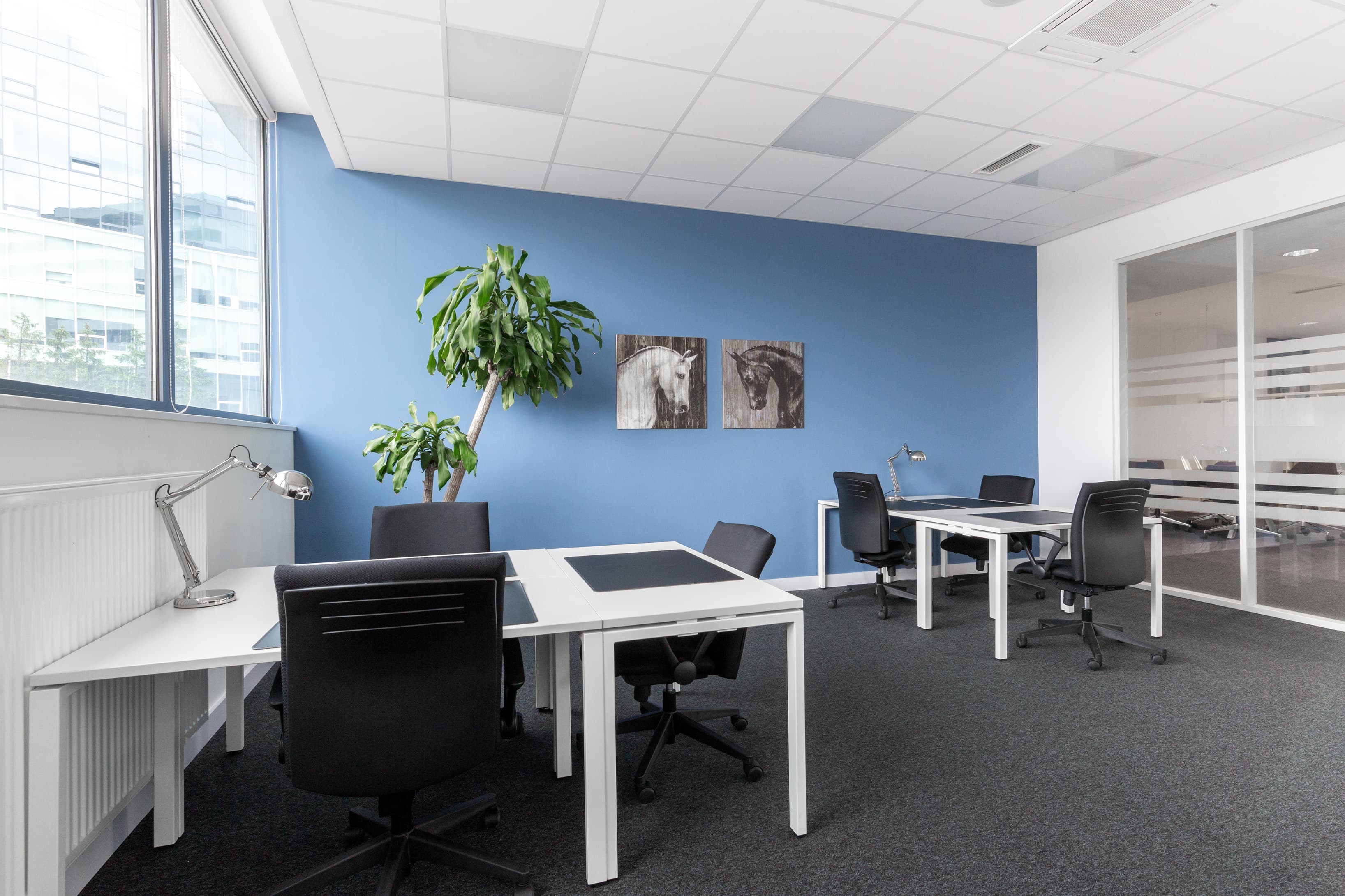 KRAKOW, Graffit House image 5