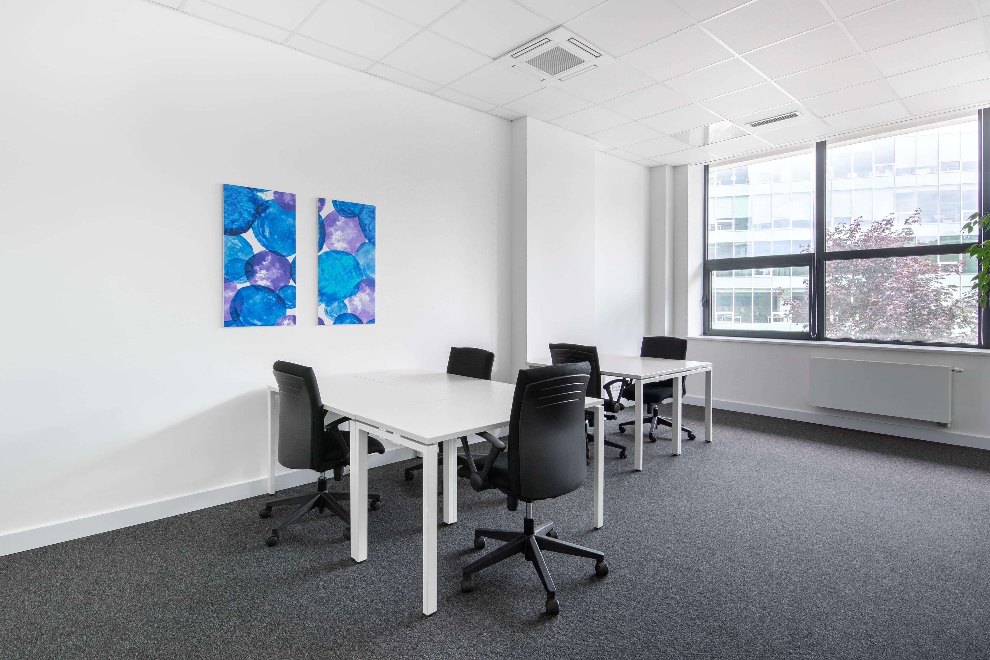 KRAKOW, Graffit House image 8