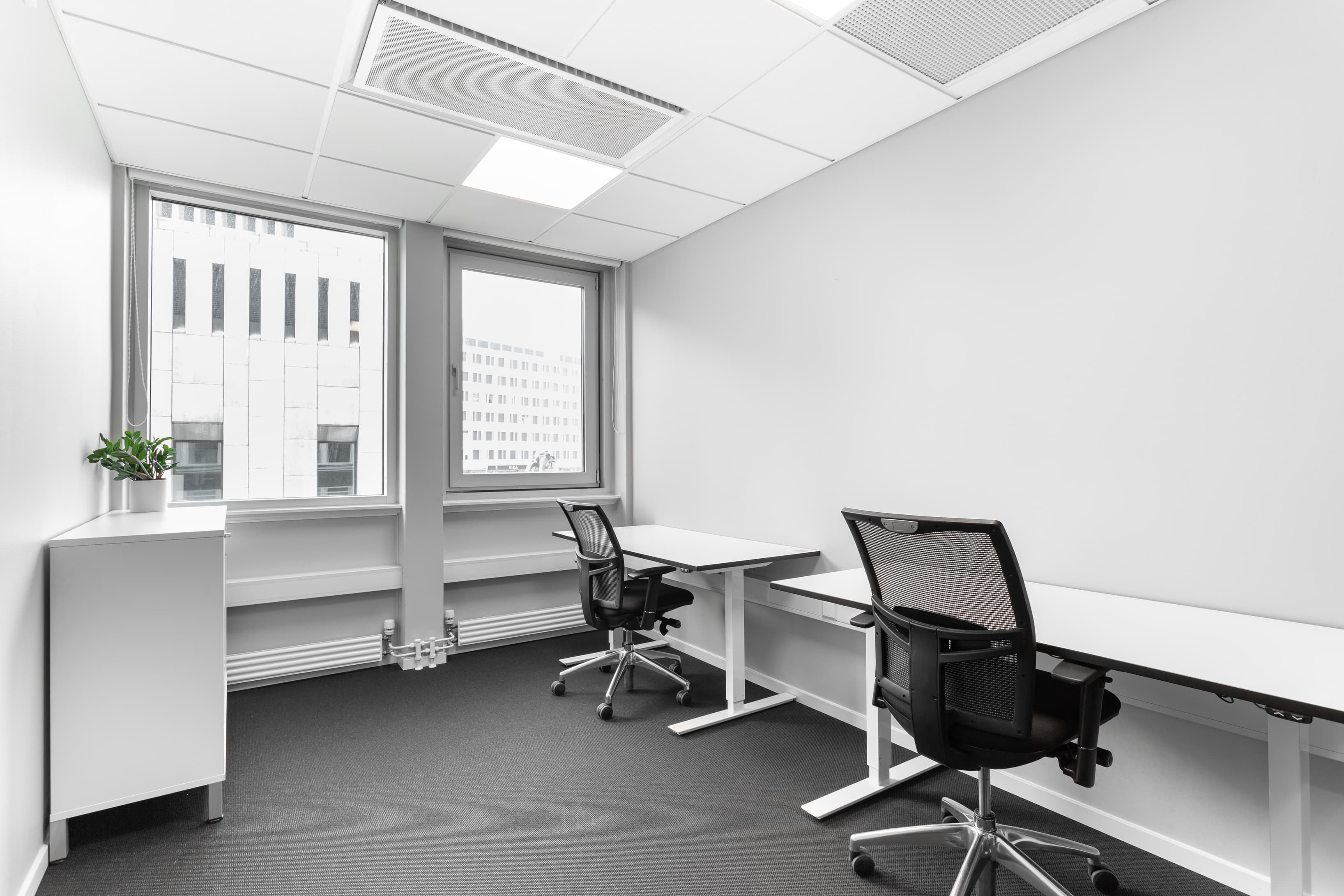 OSLO, Haakon VII's Gate image 1