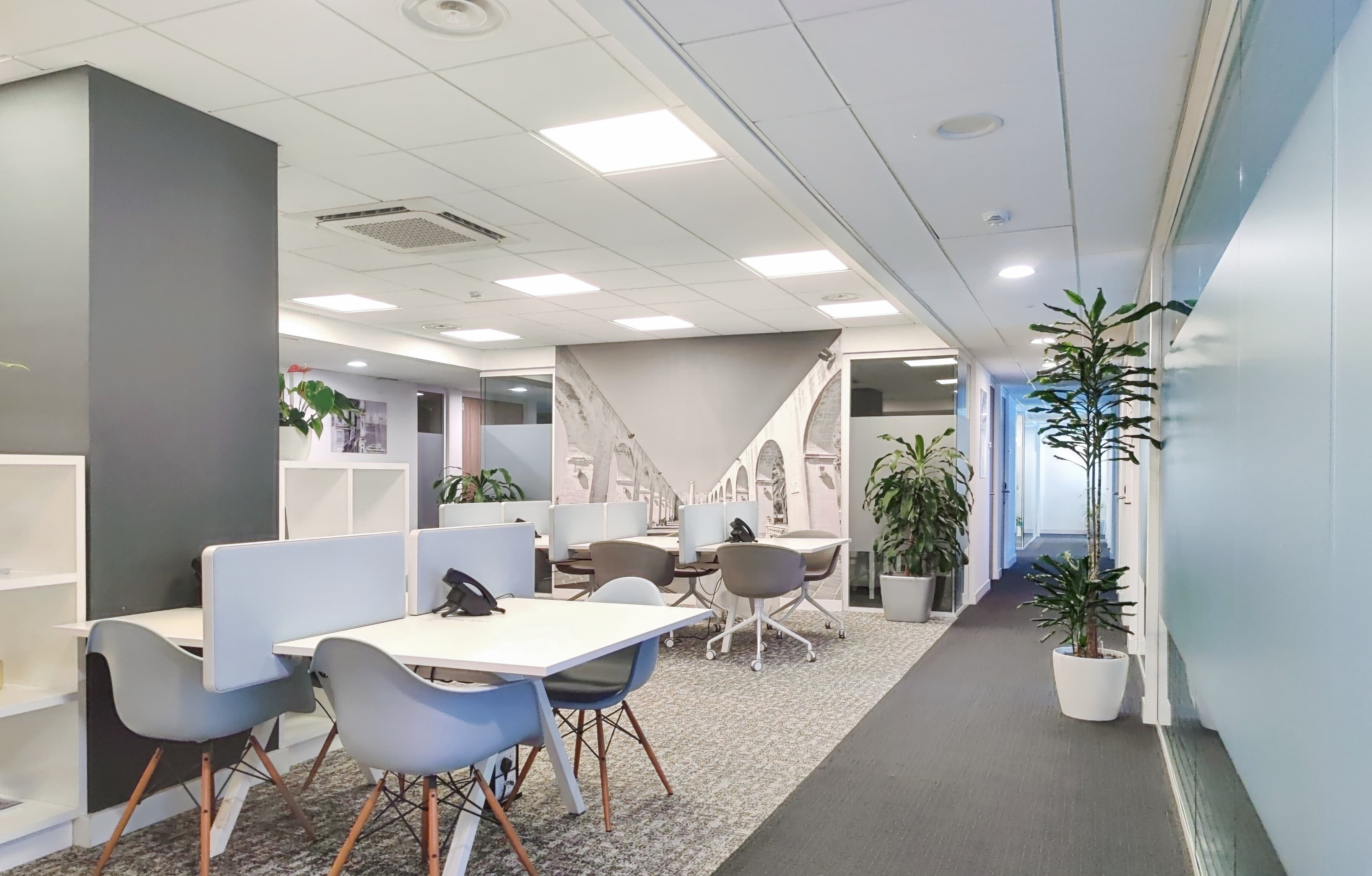 ST JULIAN'S, Dragonara image 12