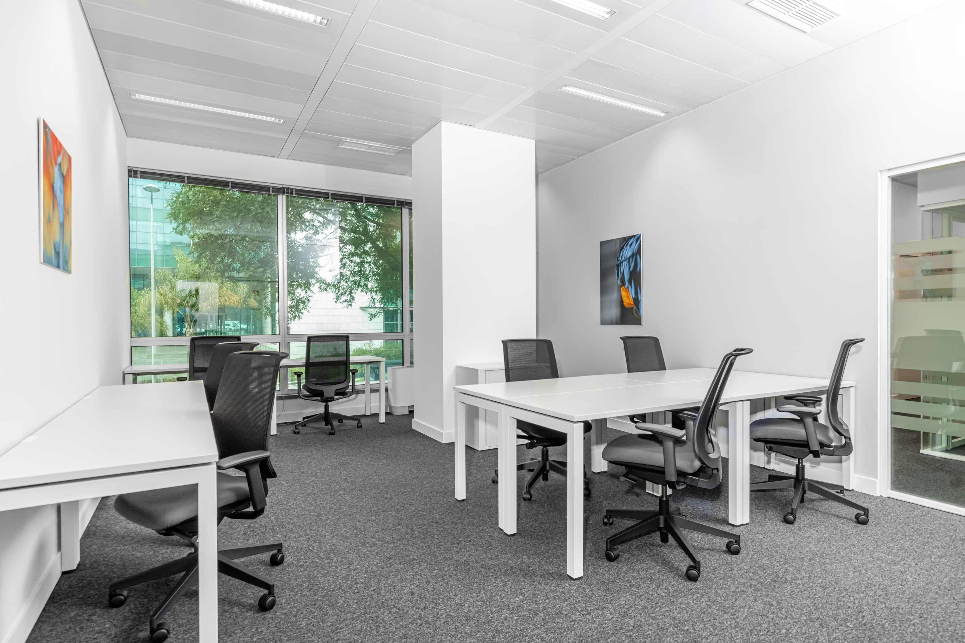 OEIRAS, Lagoas Park image 4