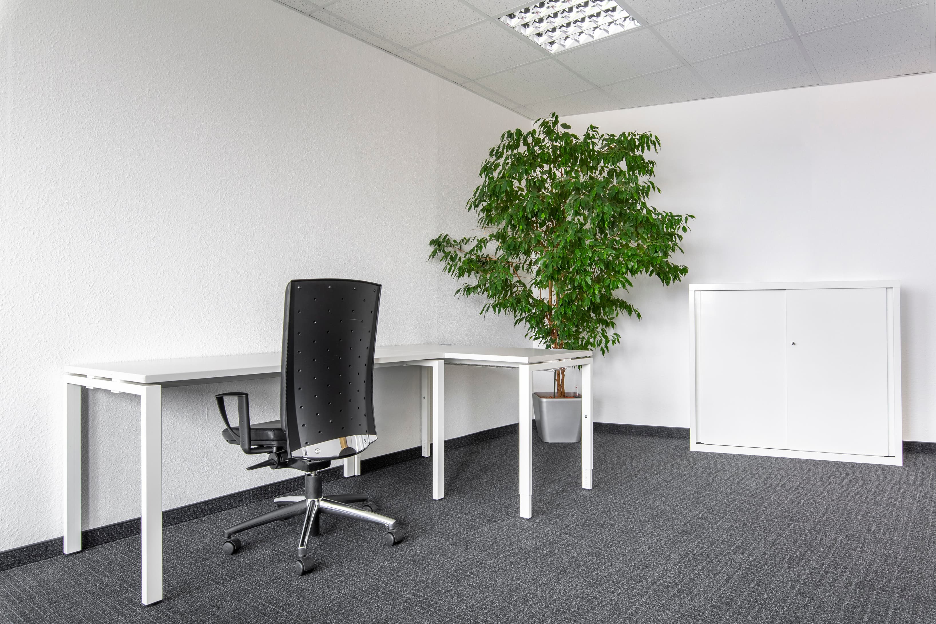 NUREMBERG, HQ Plaerrer image 9