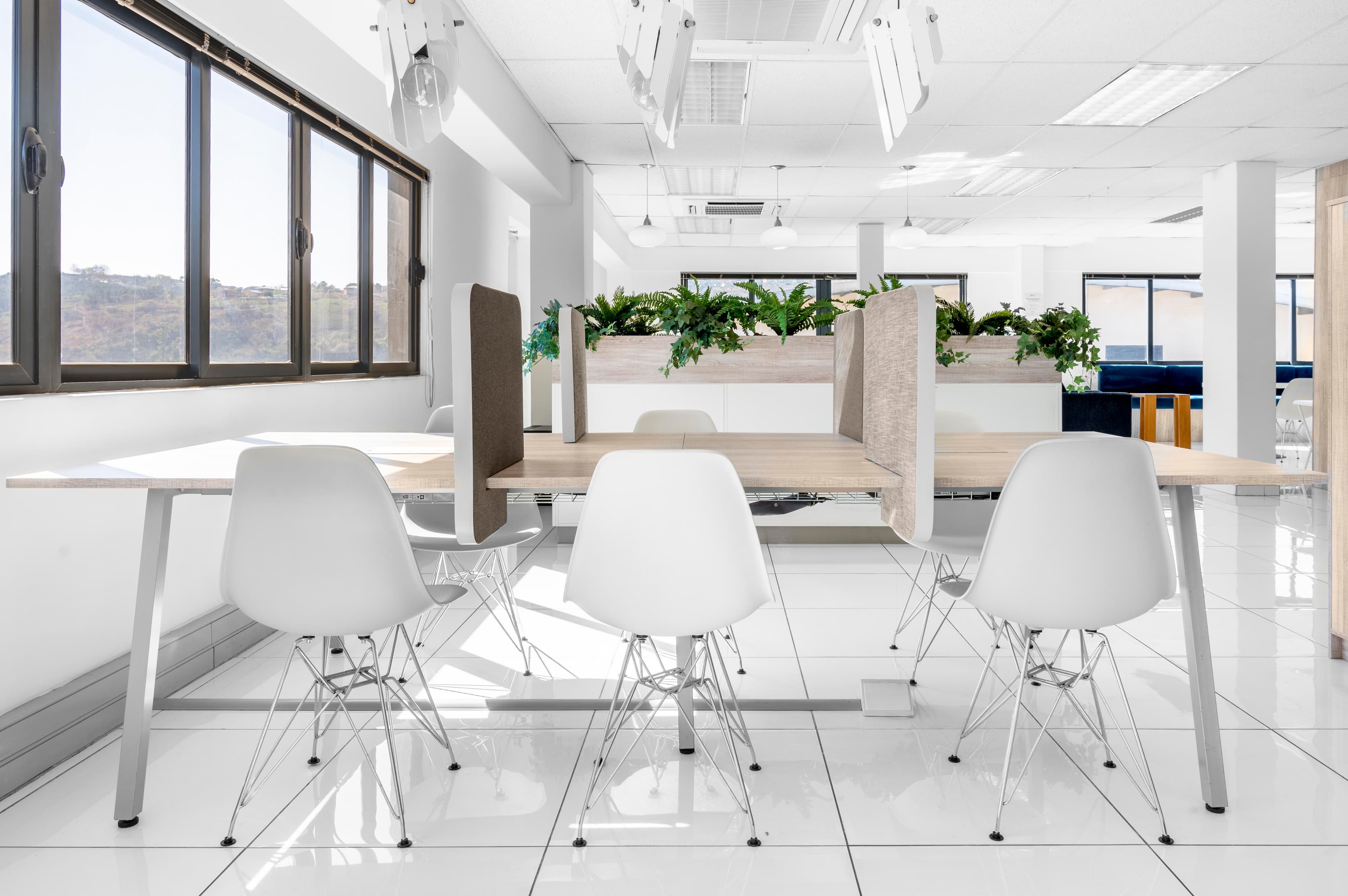 PIETERMARITZBURG, Bird Sanctuary image 7 PIETERMARITZBURG, Bird Sanctuary image 7