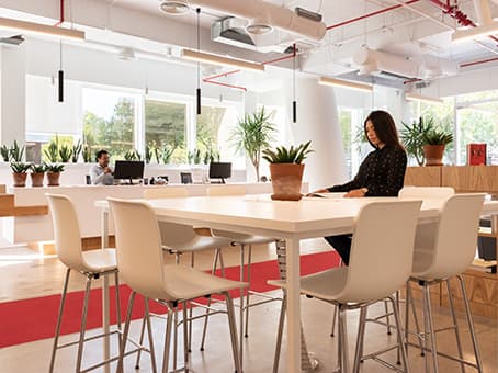 SANTIAGO, El Bosque Norte 200 image 7