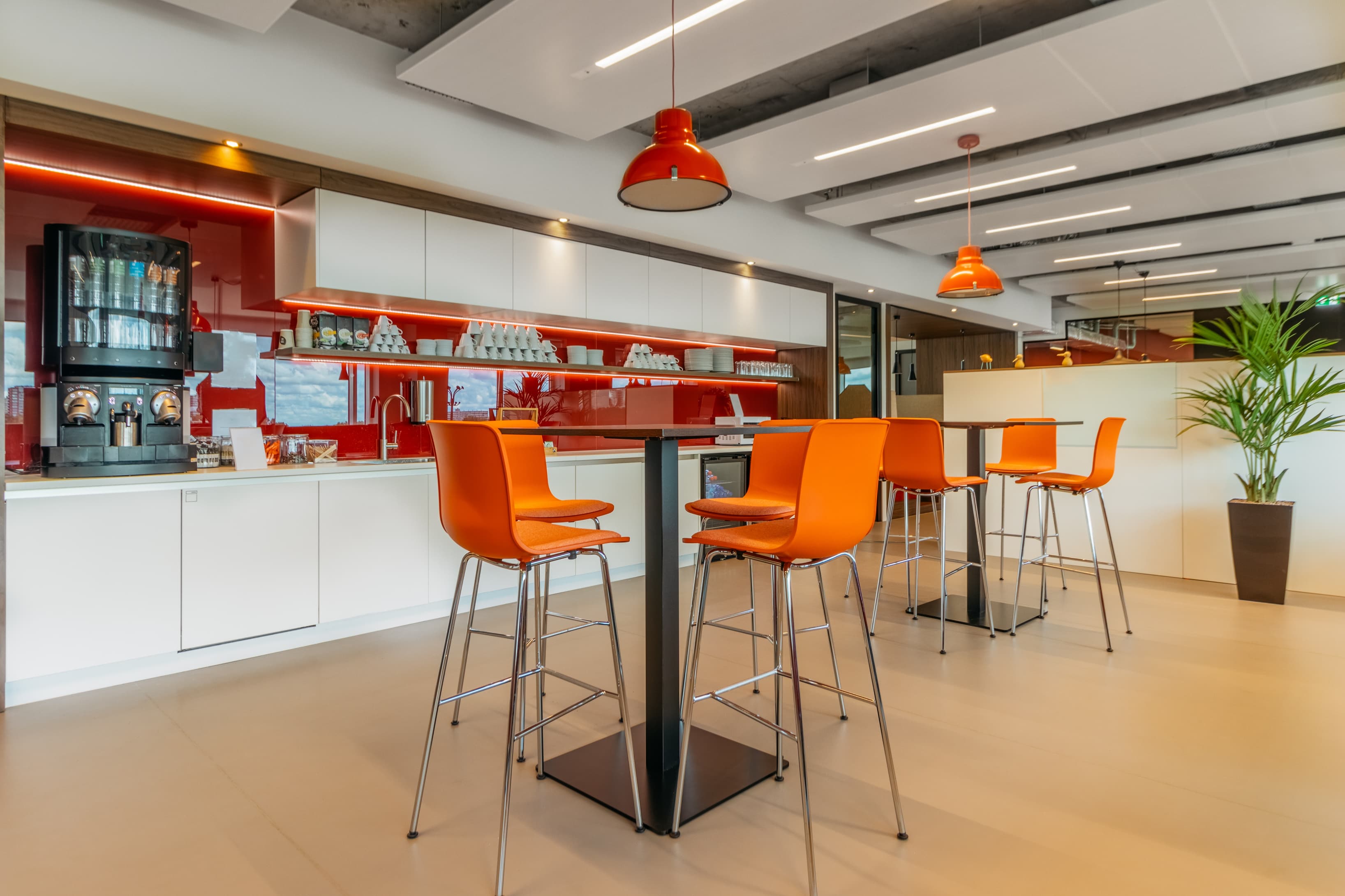 ROTTERDAM, Alexandrium image 5