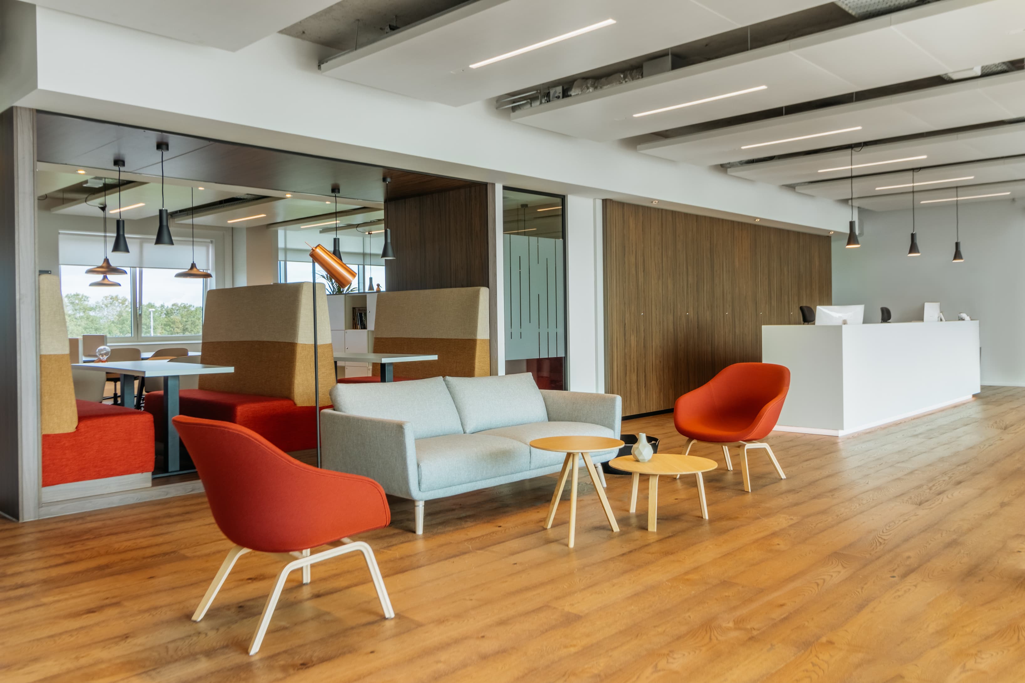 ROTTERDAM, Alexandrium image 6