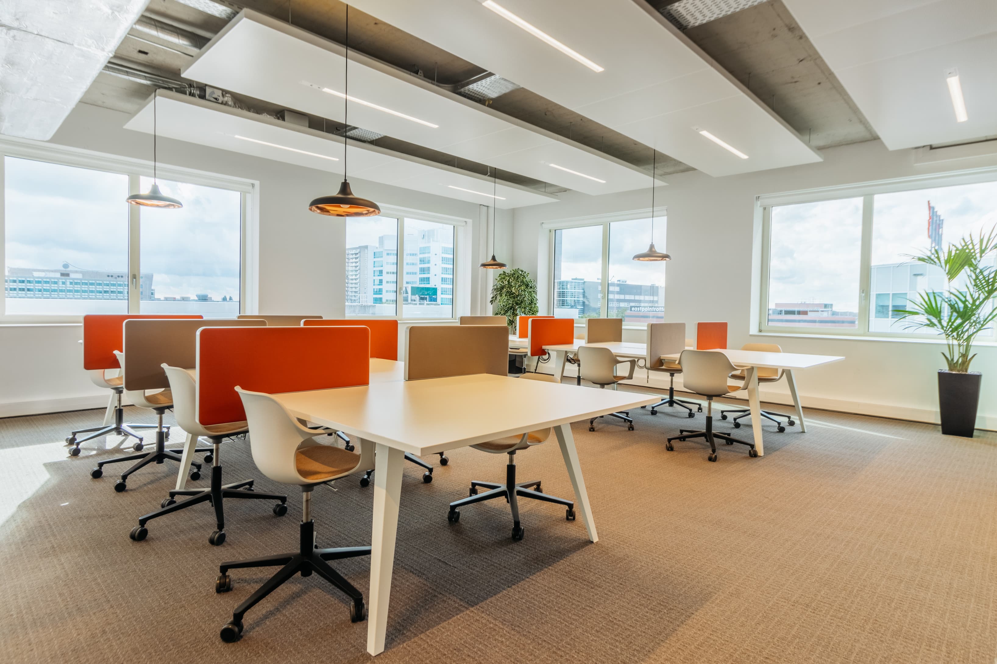 ROTTERDAM, Alexandrium image 7