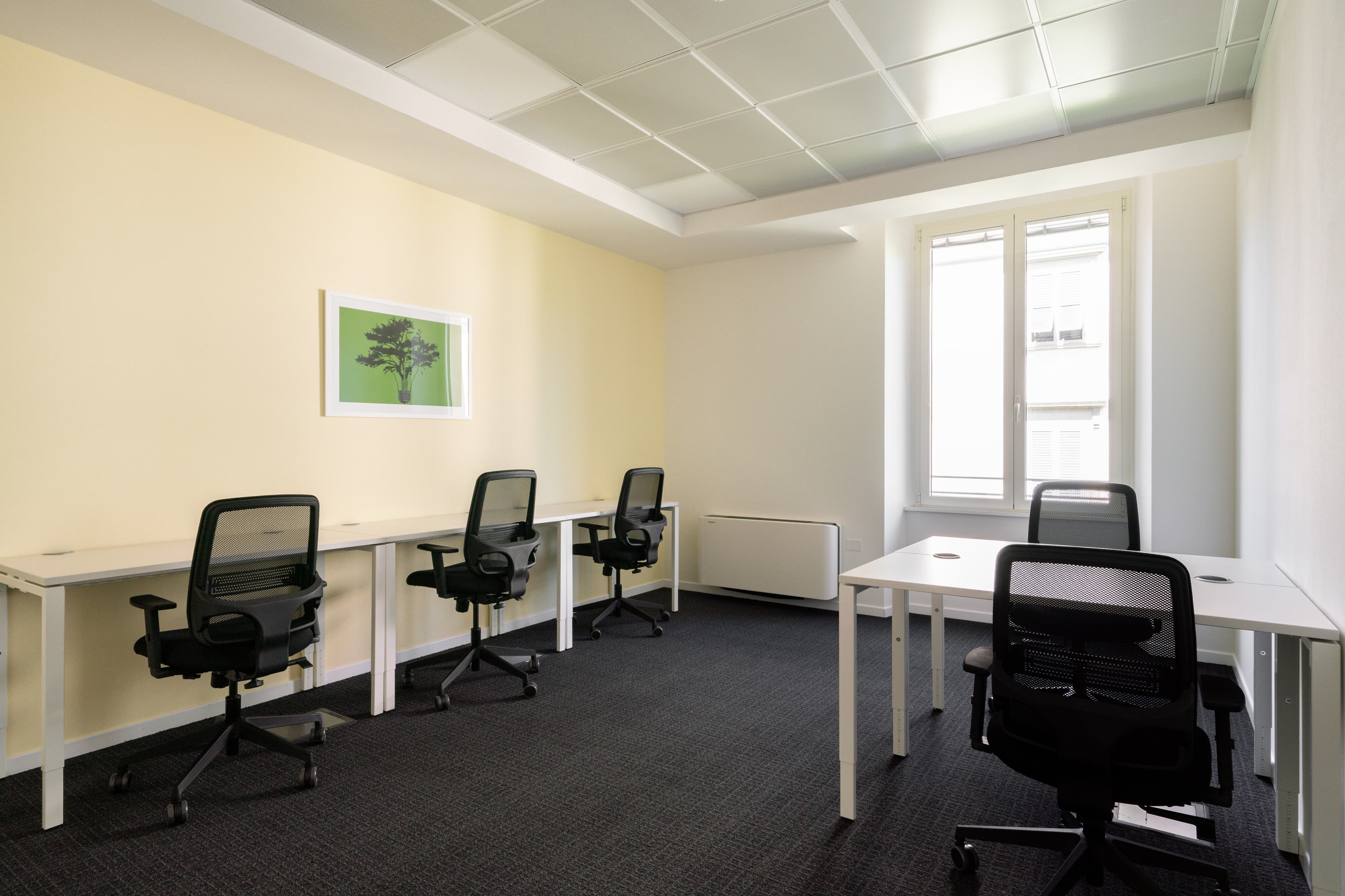 FIRENZE, Liberta image 9