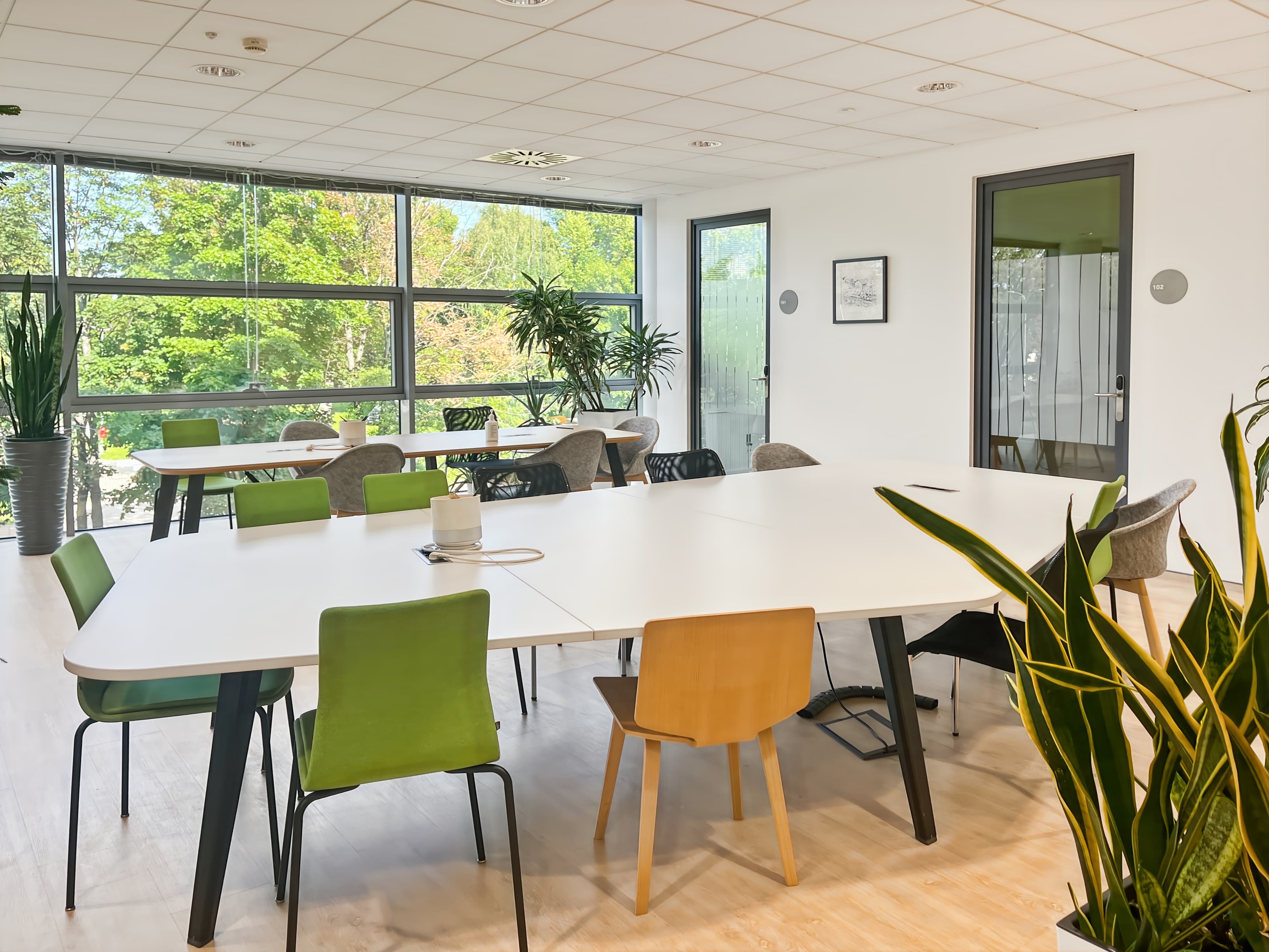 GDANSK, Opera image 1