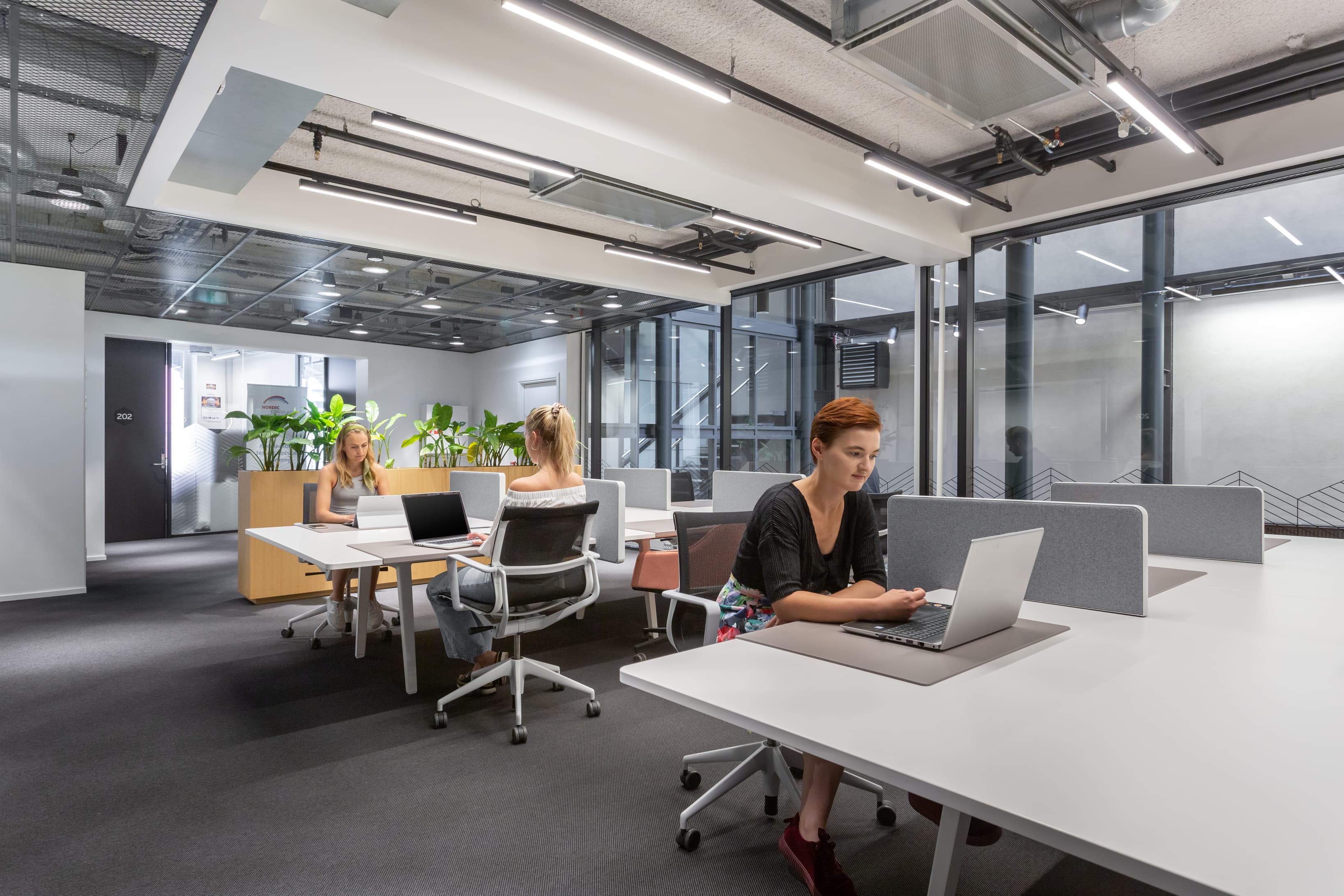 OSLO, Spaces Apotekergata image 7