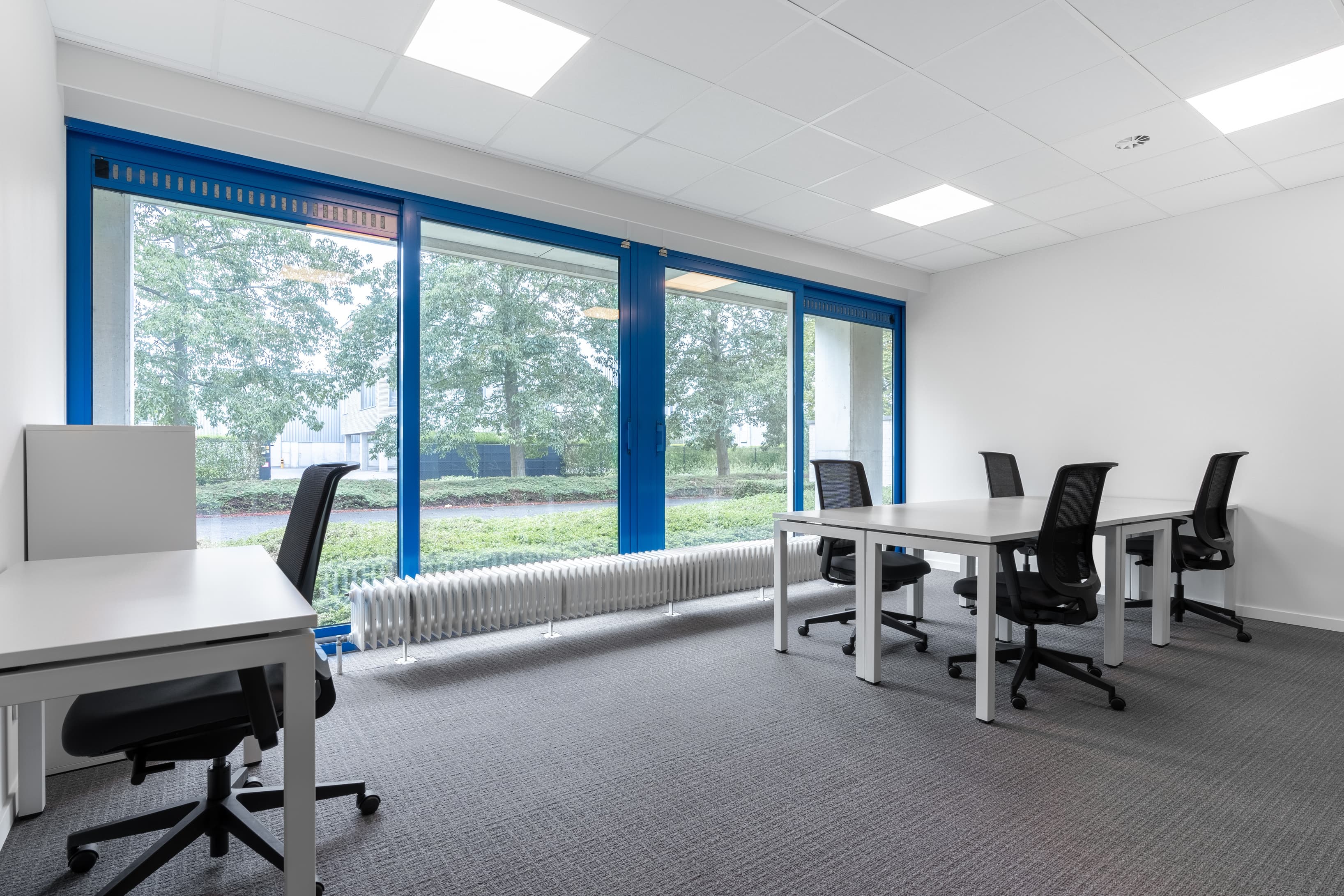 TEMSE, Temse image 7