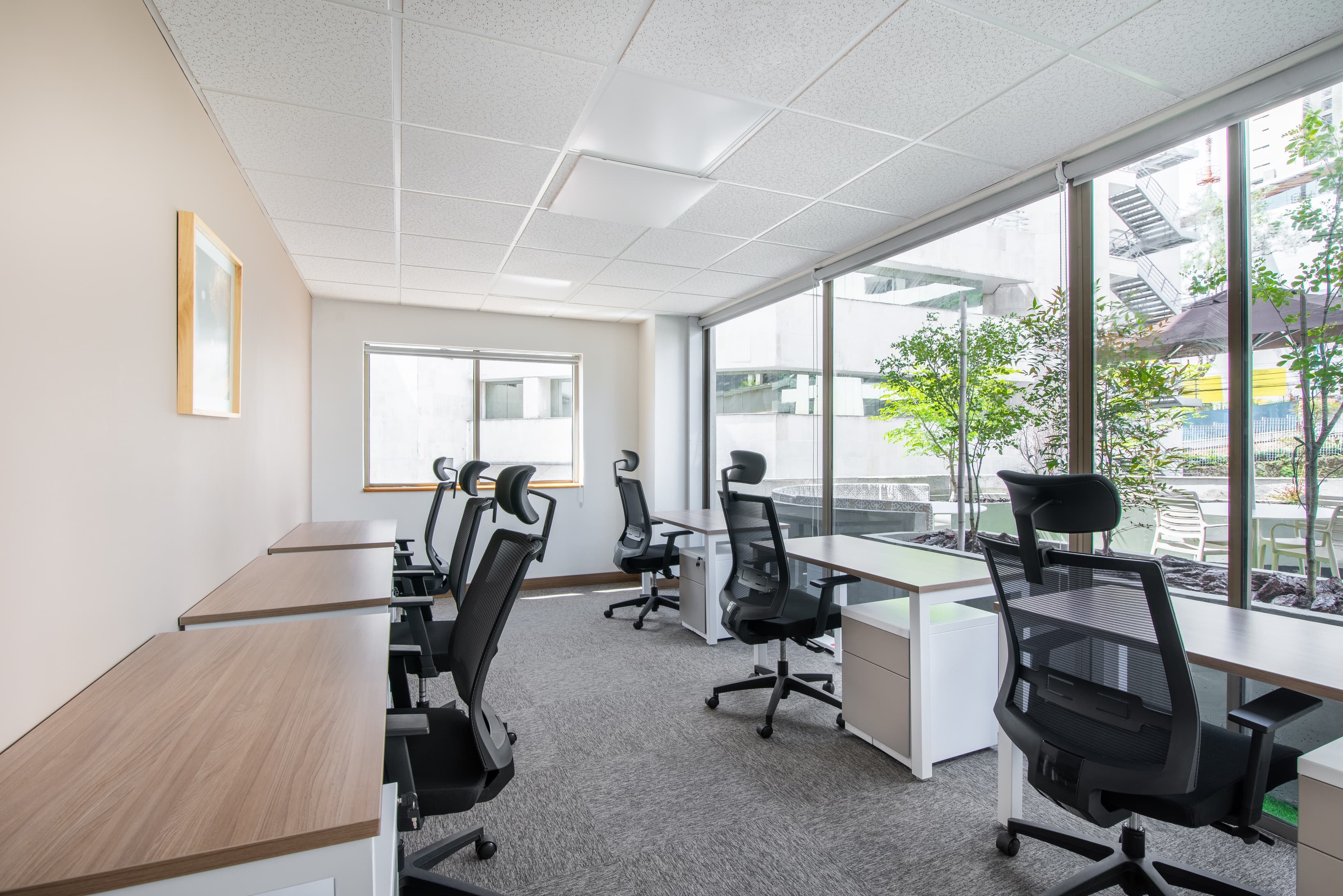 MEDELLIN, Parque del Poblado image 4