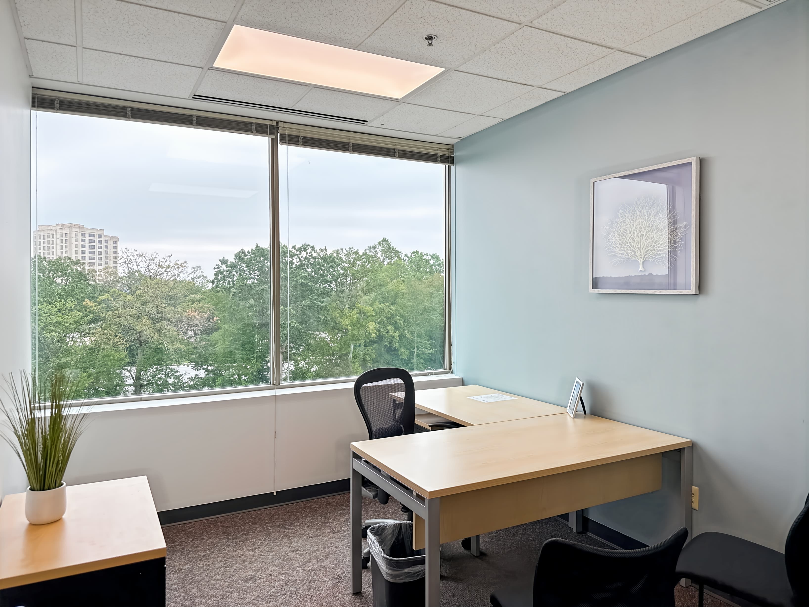 CT, Shelton - Shelton image 11