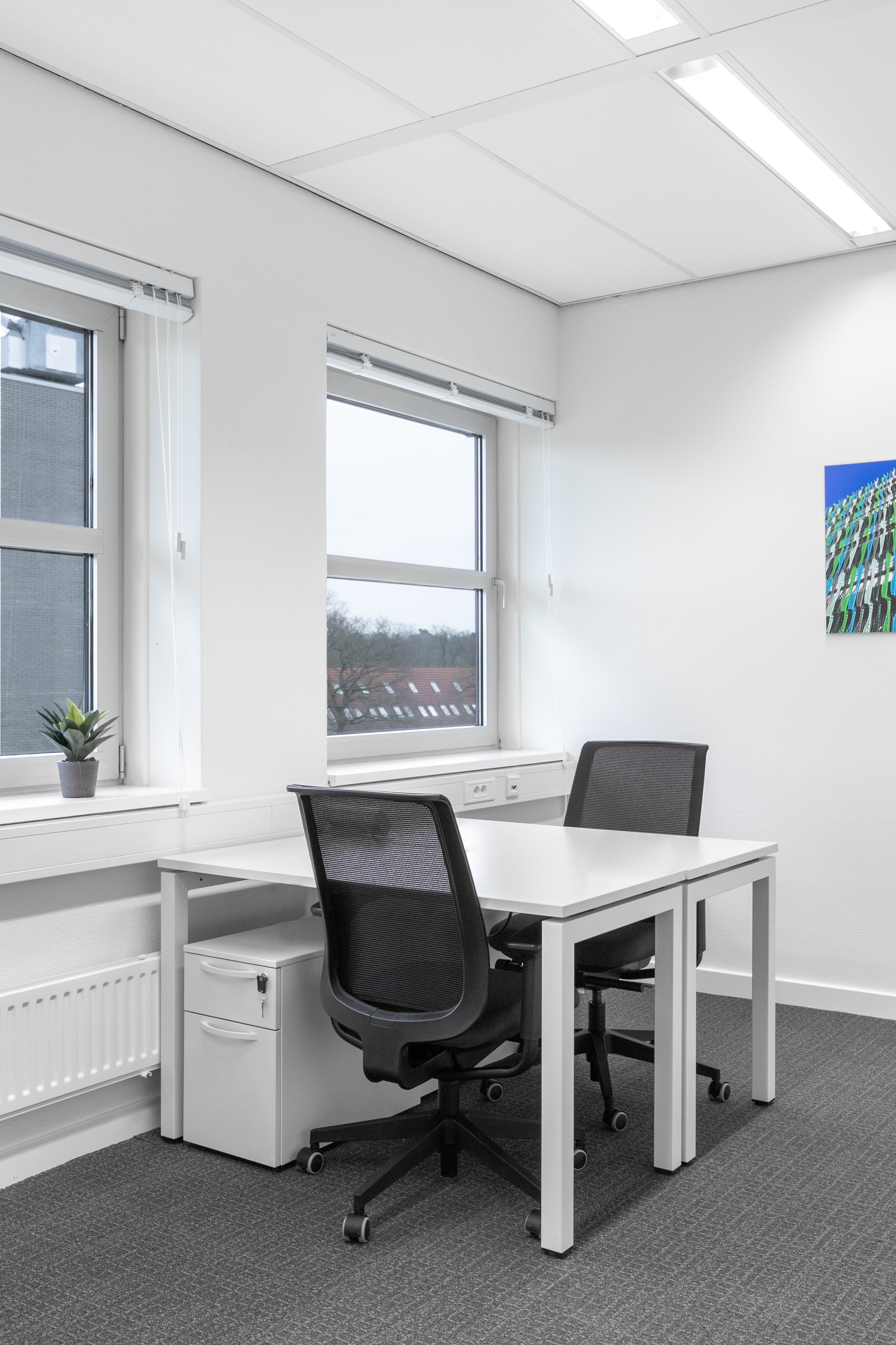 ENSCHEDE, Capitool image 1