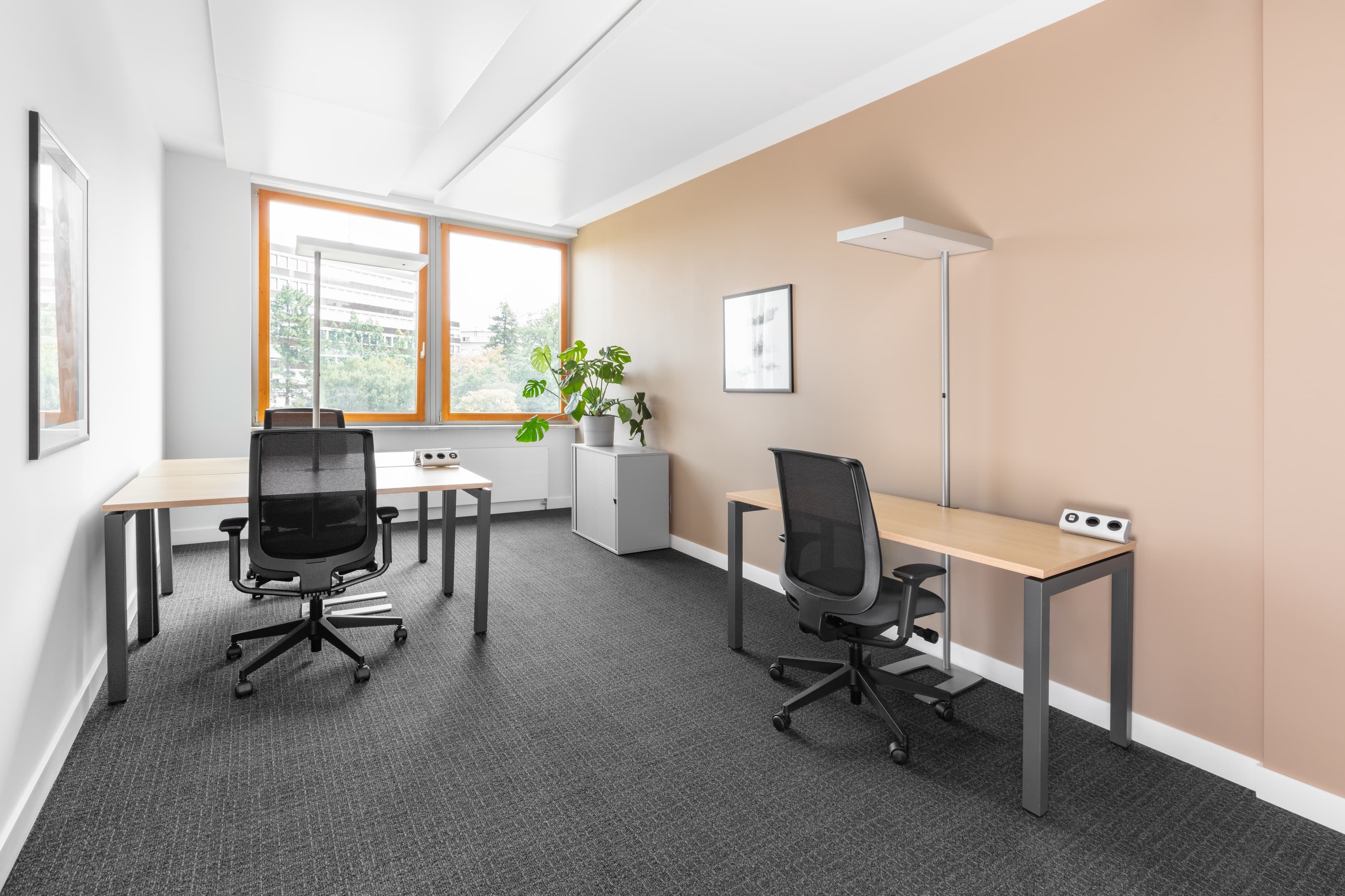 BASEL, Heuwaage image 4