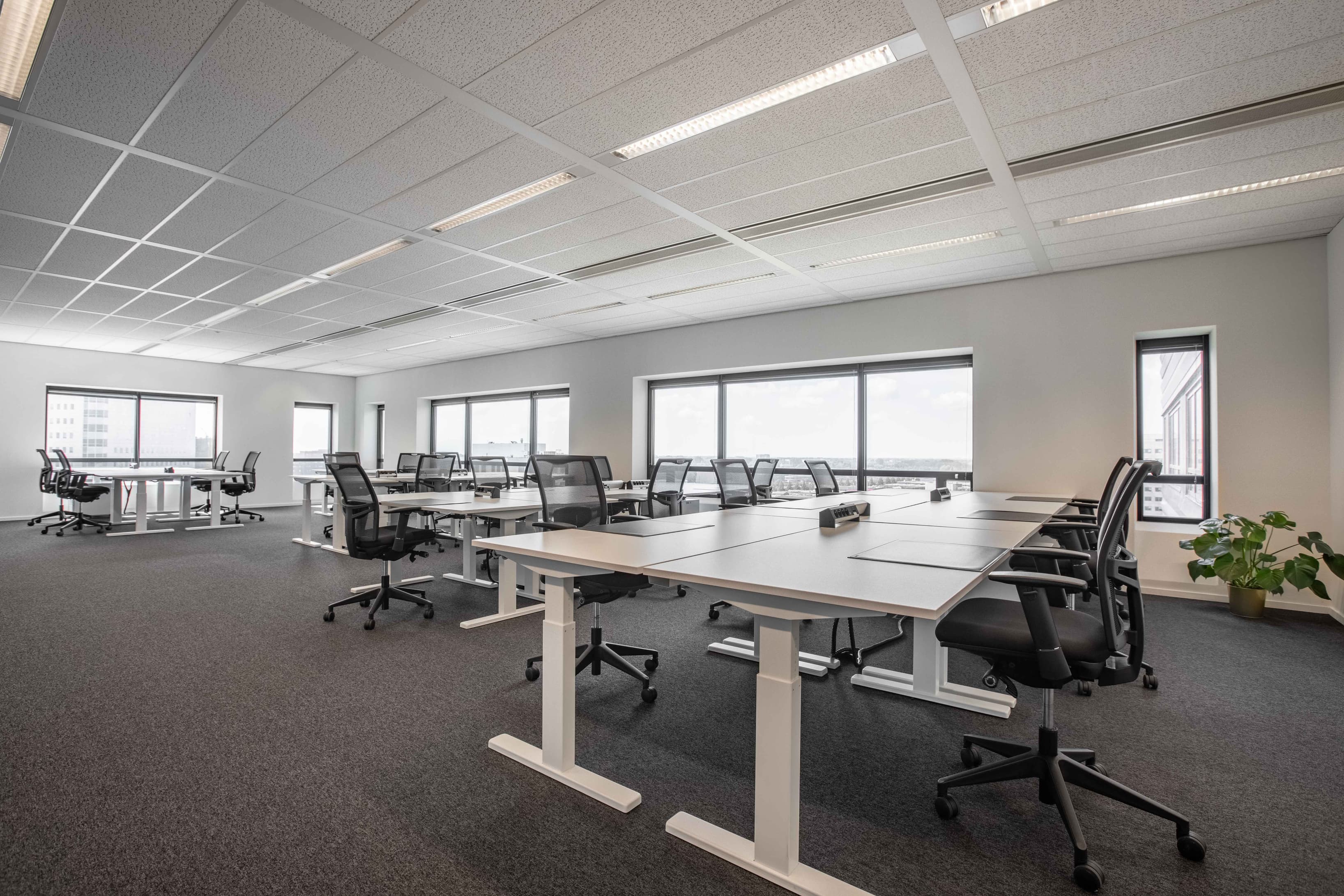 AMSTERDAM, TOO Millennium BC image 5 AMSTERDAM, TOO Millennium BC image 5