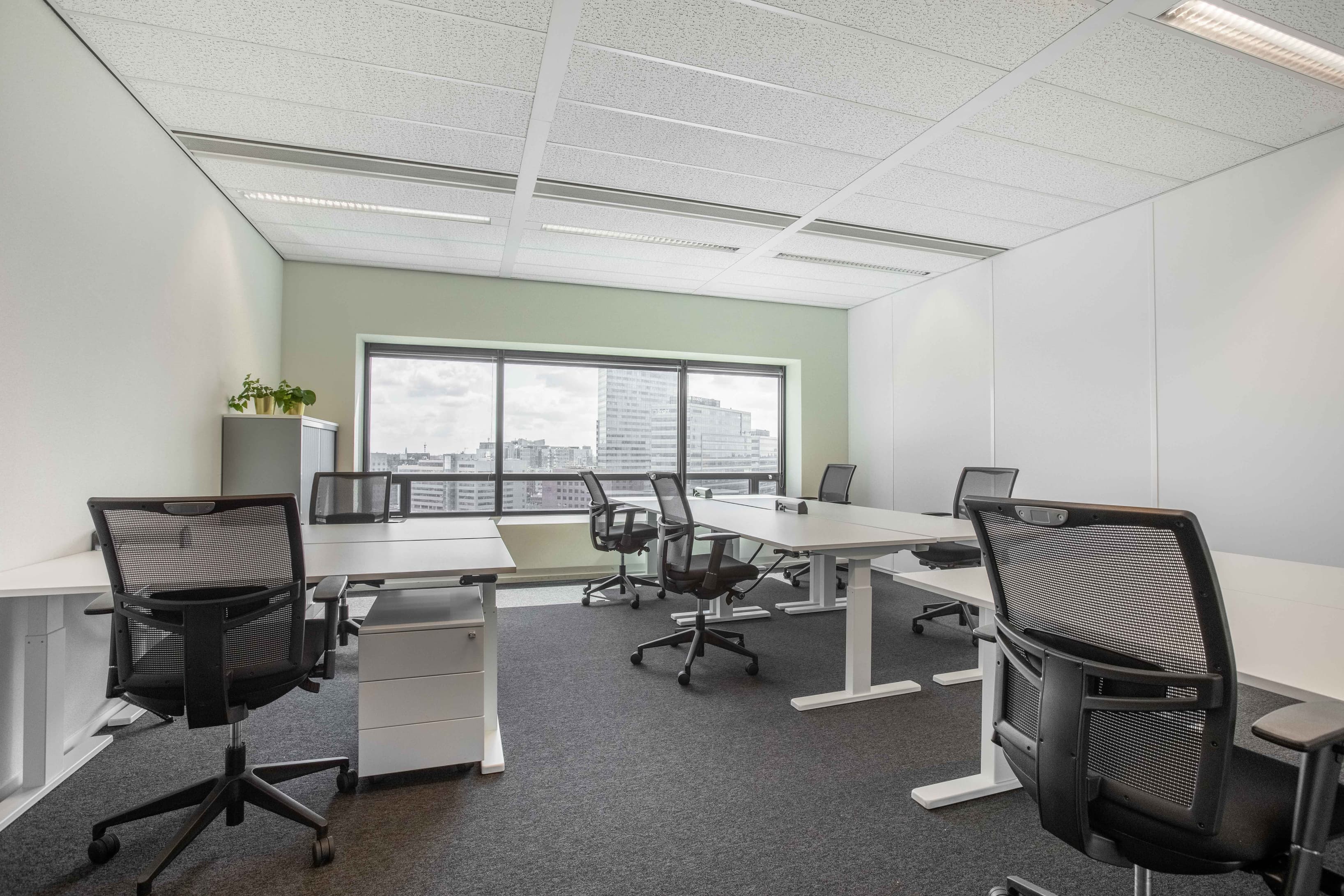 AMSTERDAM, TOO Millennium BC image 2 AMSTERDAM, TOO Millennium BC image 2