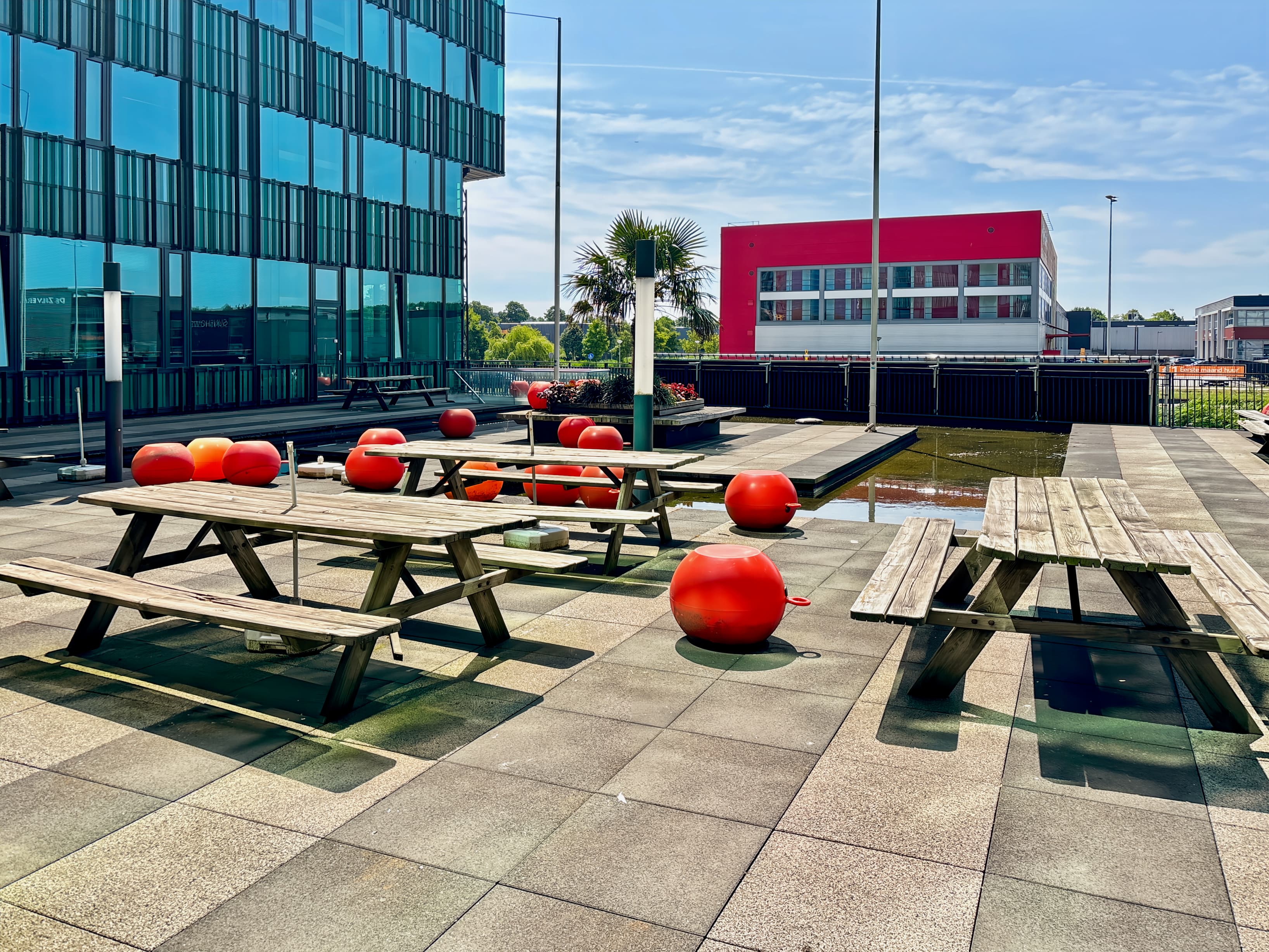 AMSTERDAM, TOO Diana BC image 12