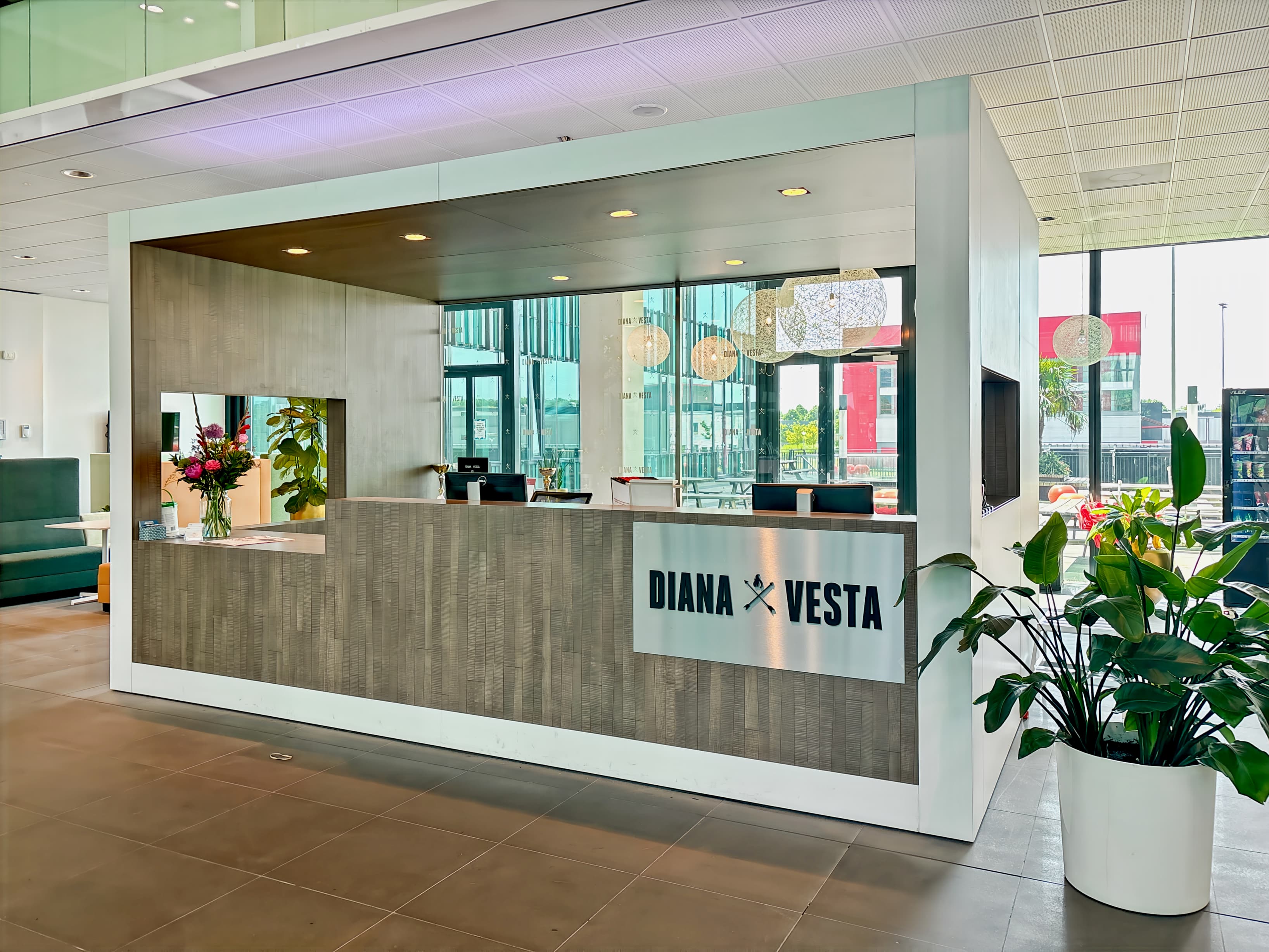 AMSTERDAM, TOO Diana BC image 13