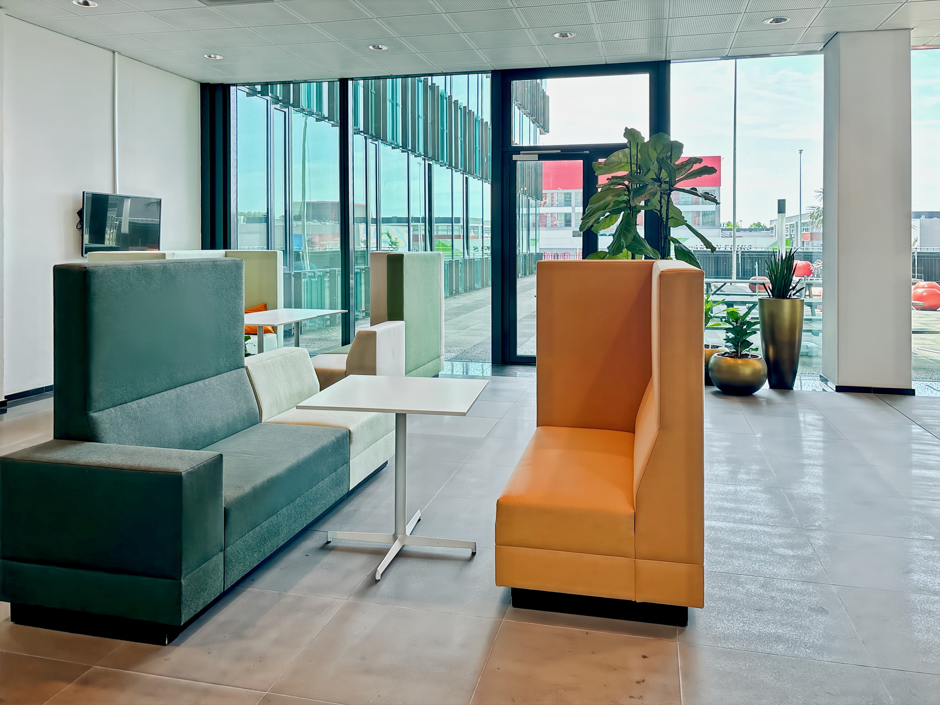 AMSTERDAM, TOO Diana BC image 3