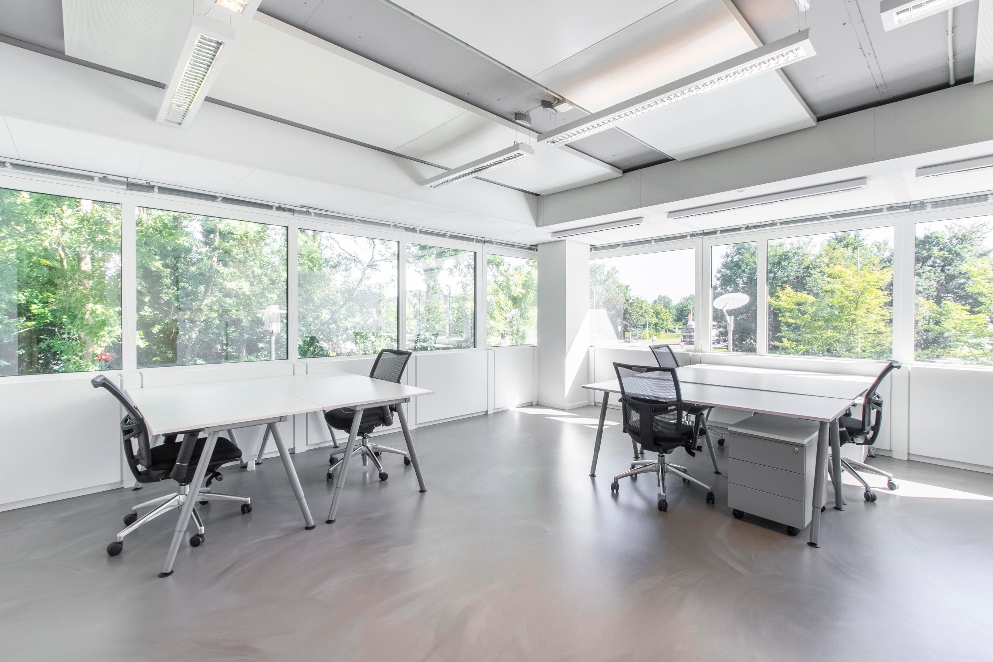 Delft, Whitepark image 2