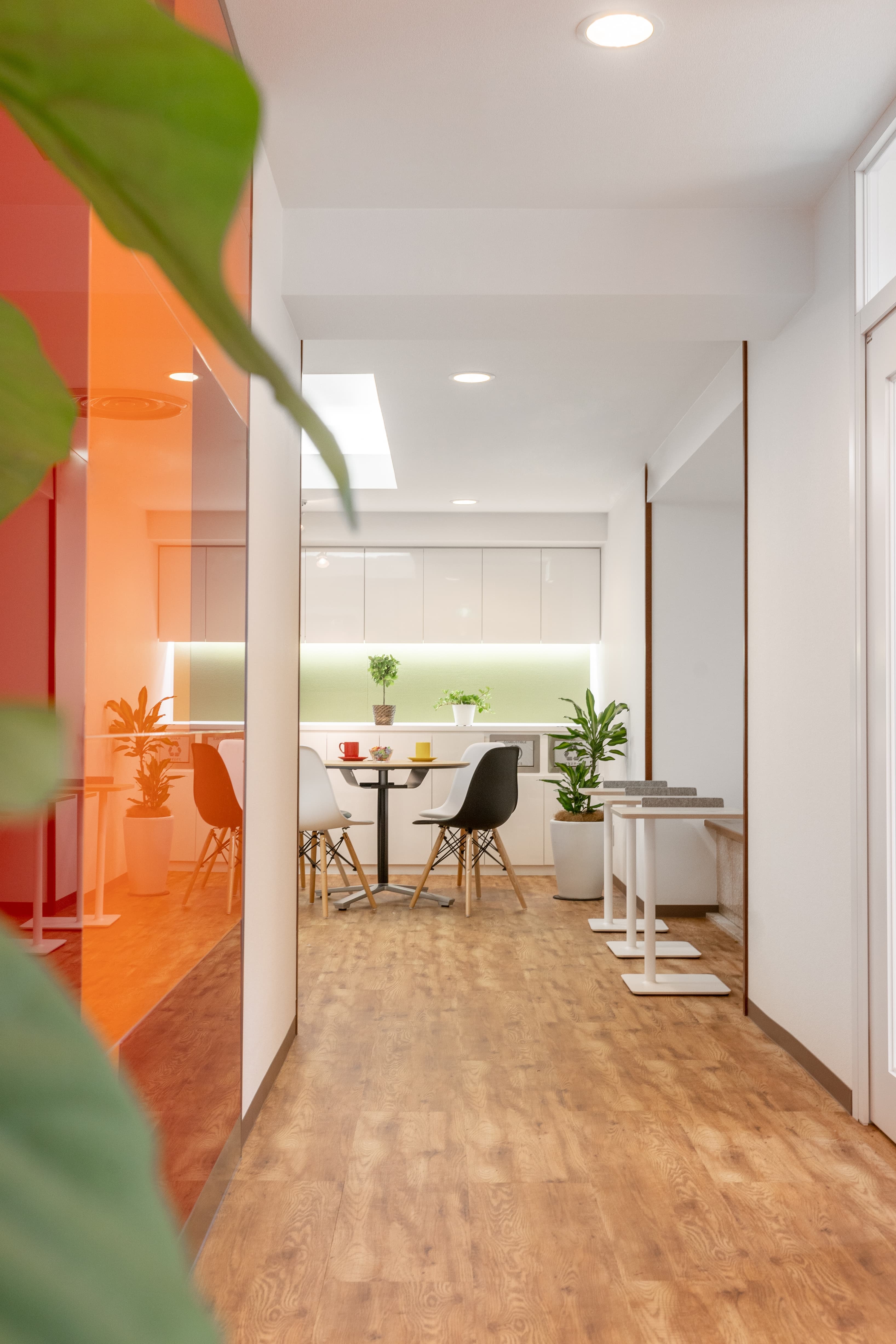 Osaka, Midosuji image 2