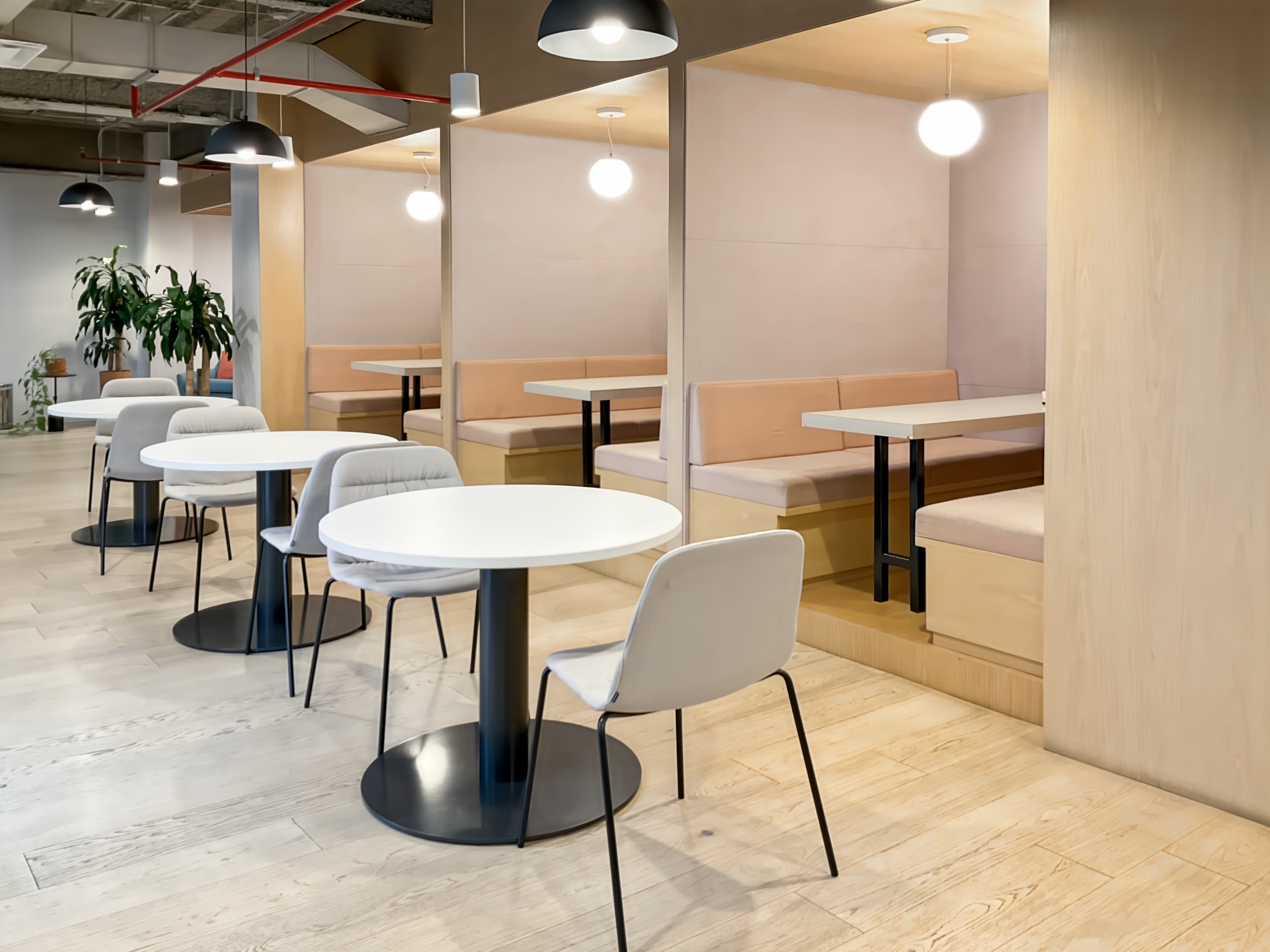 Guadalajara, Americas 1586 image 14