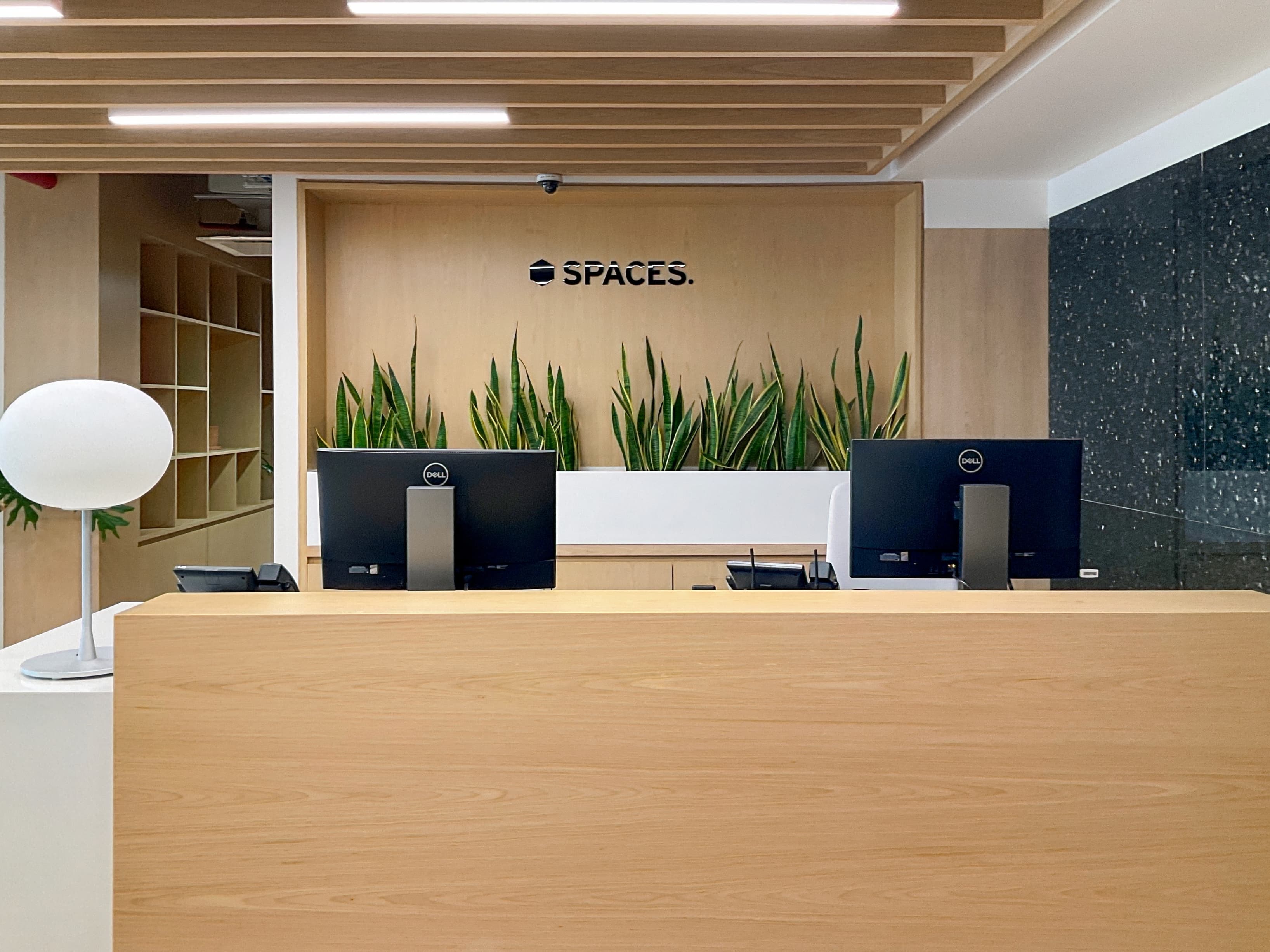 Guadalajara, Americas 1586 image 12