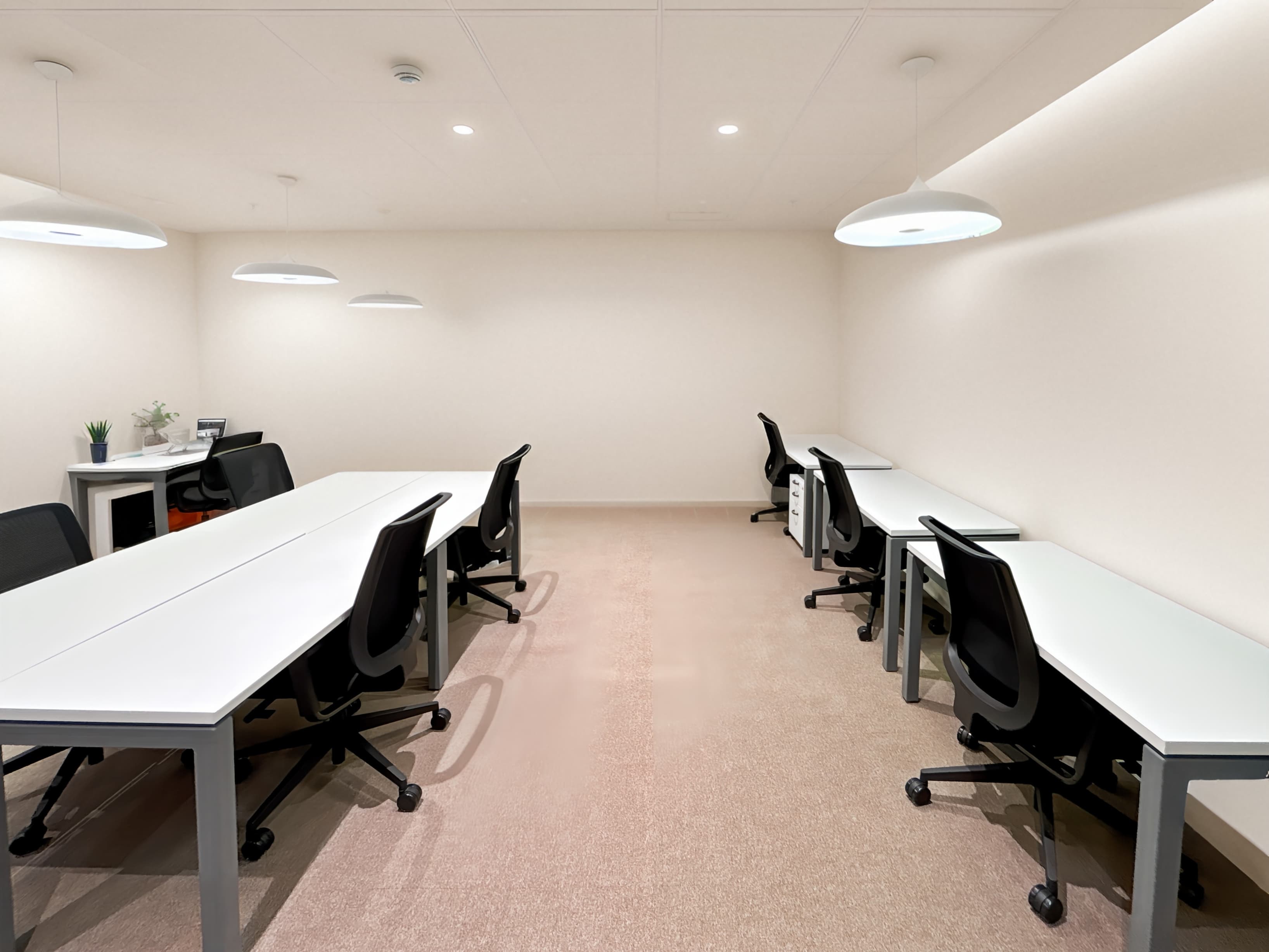 MEXICO CITY, Samara Santa Fe image 5