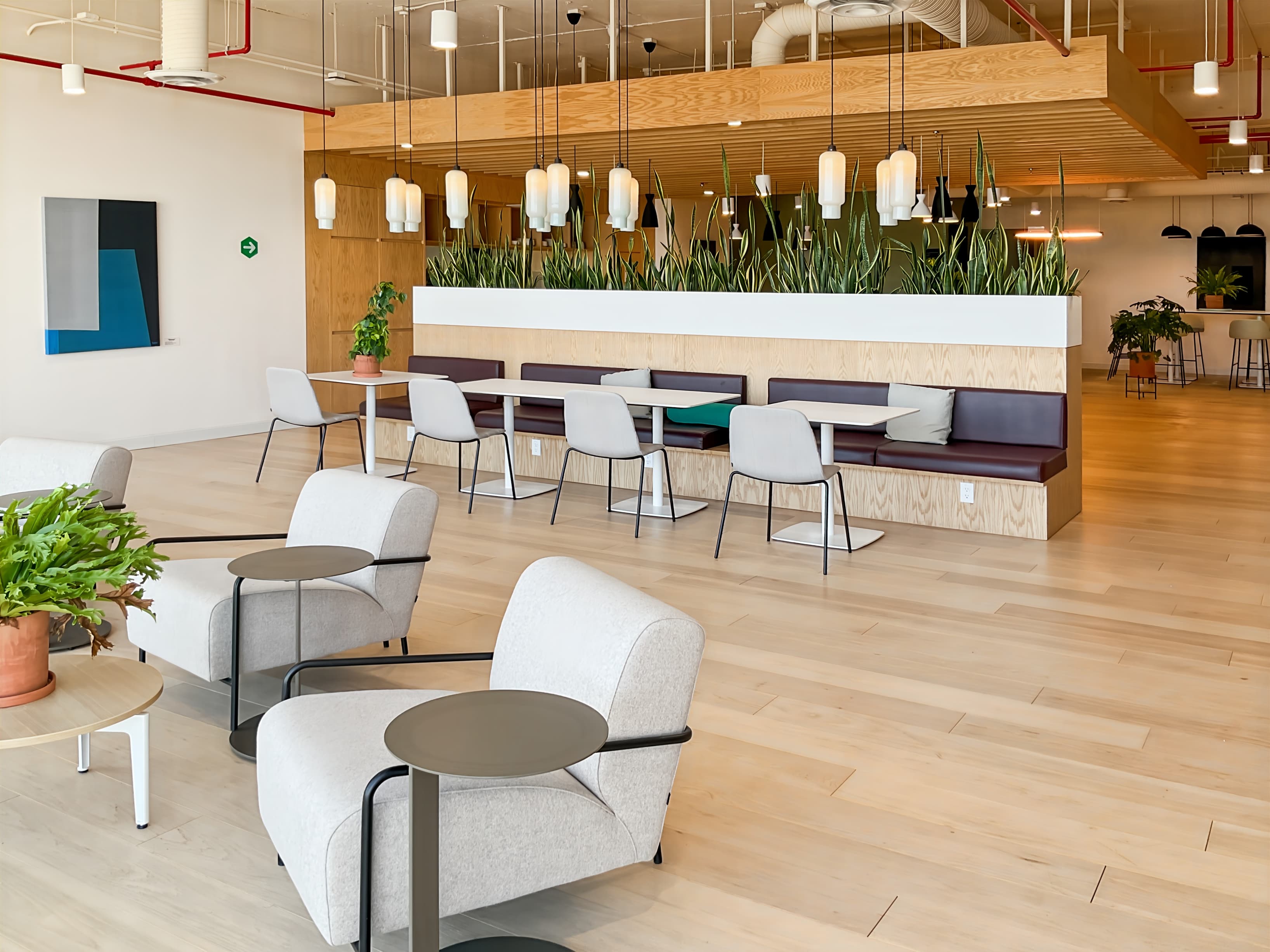 MEXICO CITY, Samara Santa Fe image 3