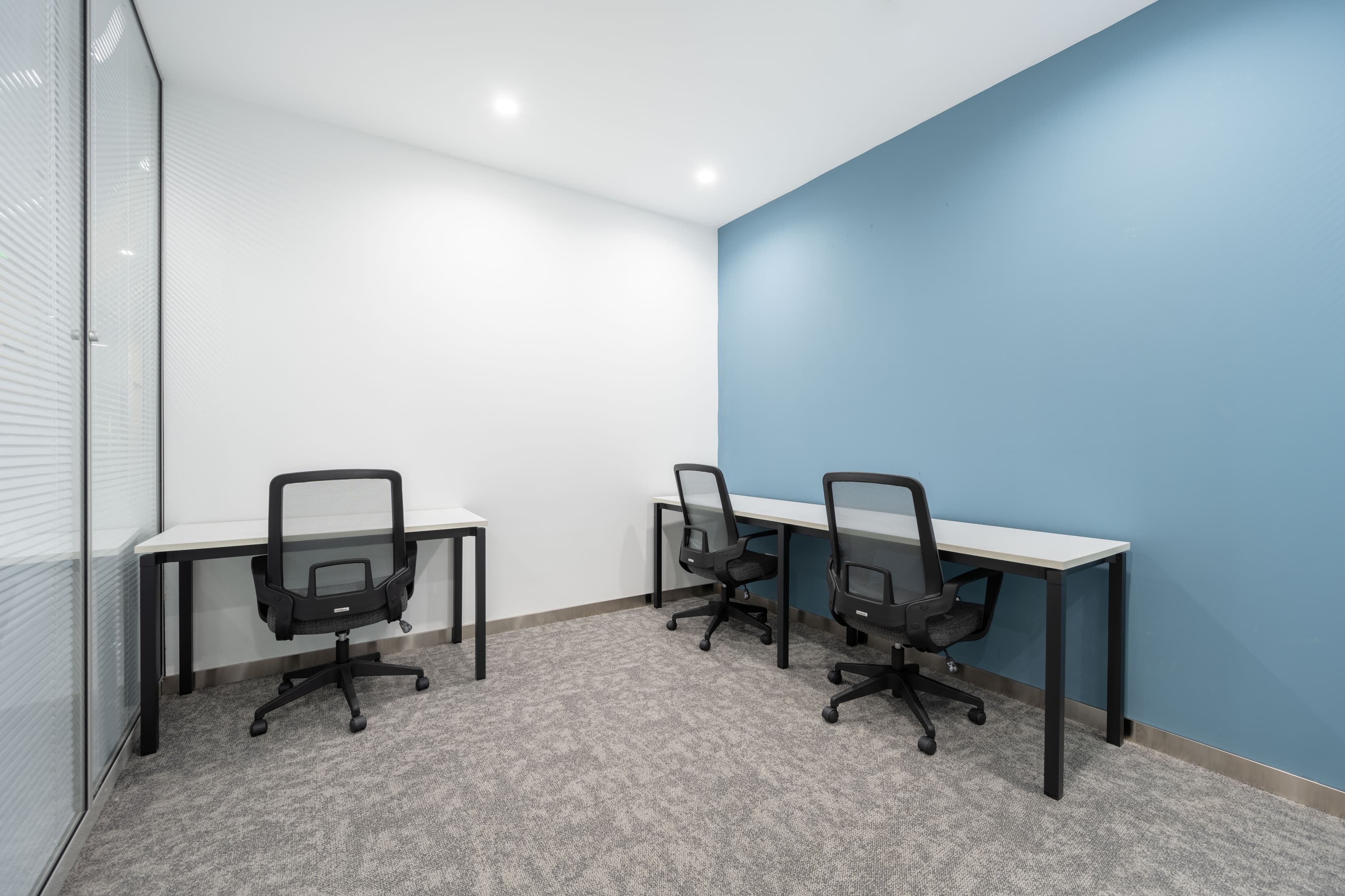 Zebra-Qingdao Shangri-La Centre image 2