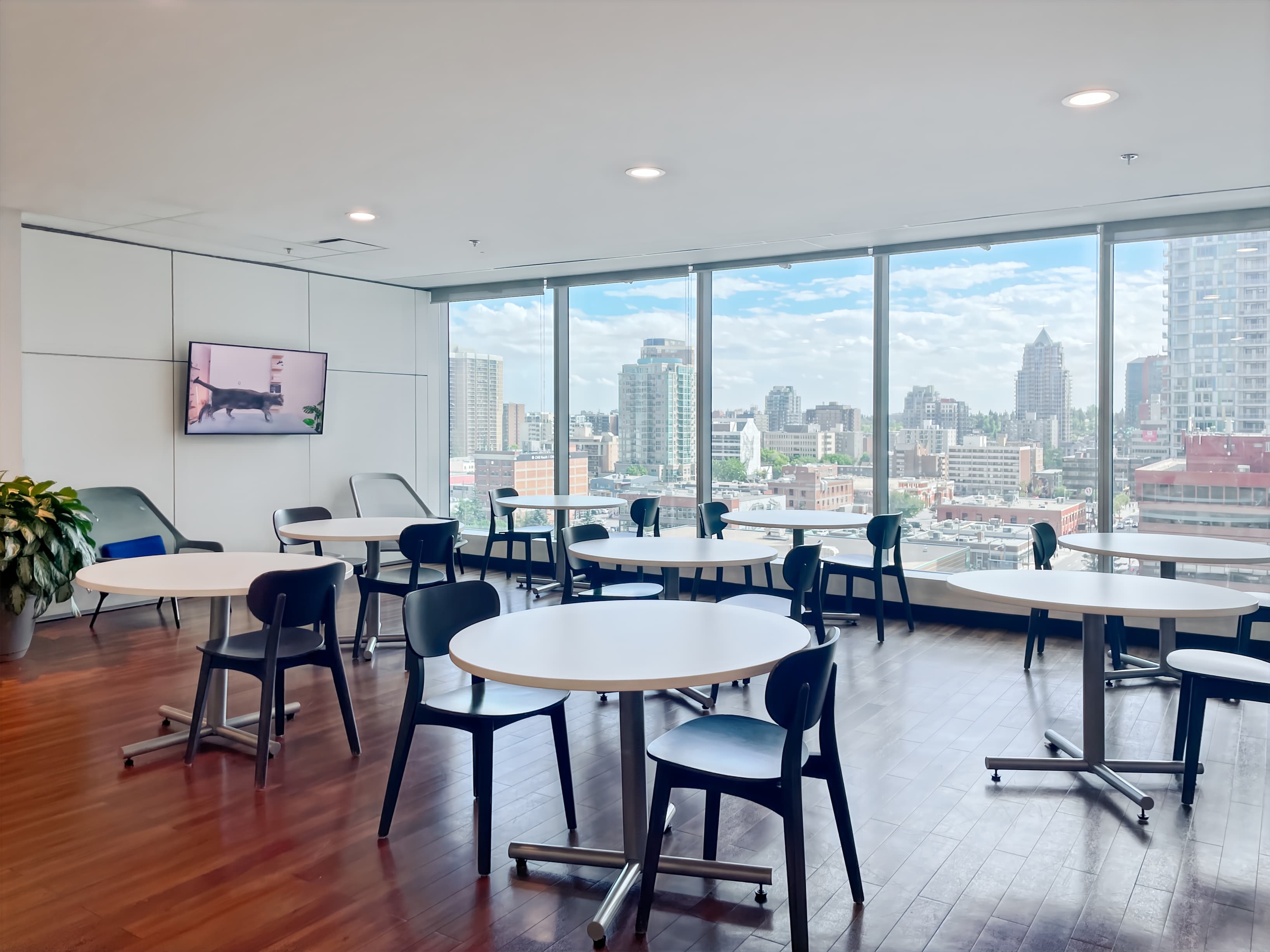 AB, Calgary - 903 8th Ave image 5