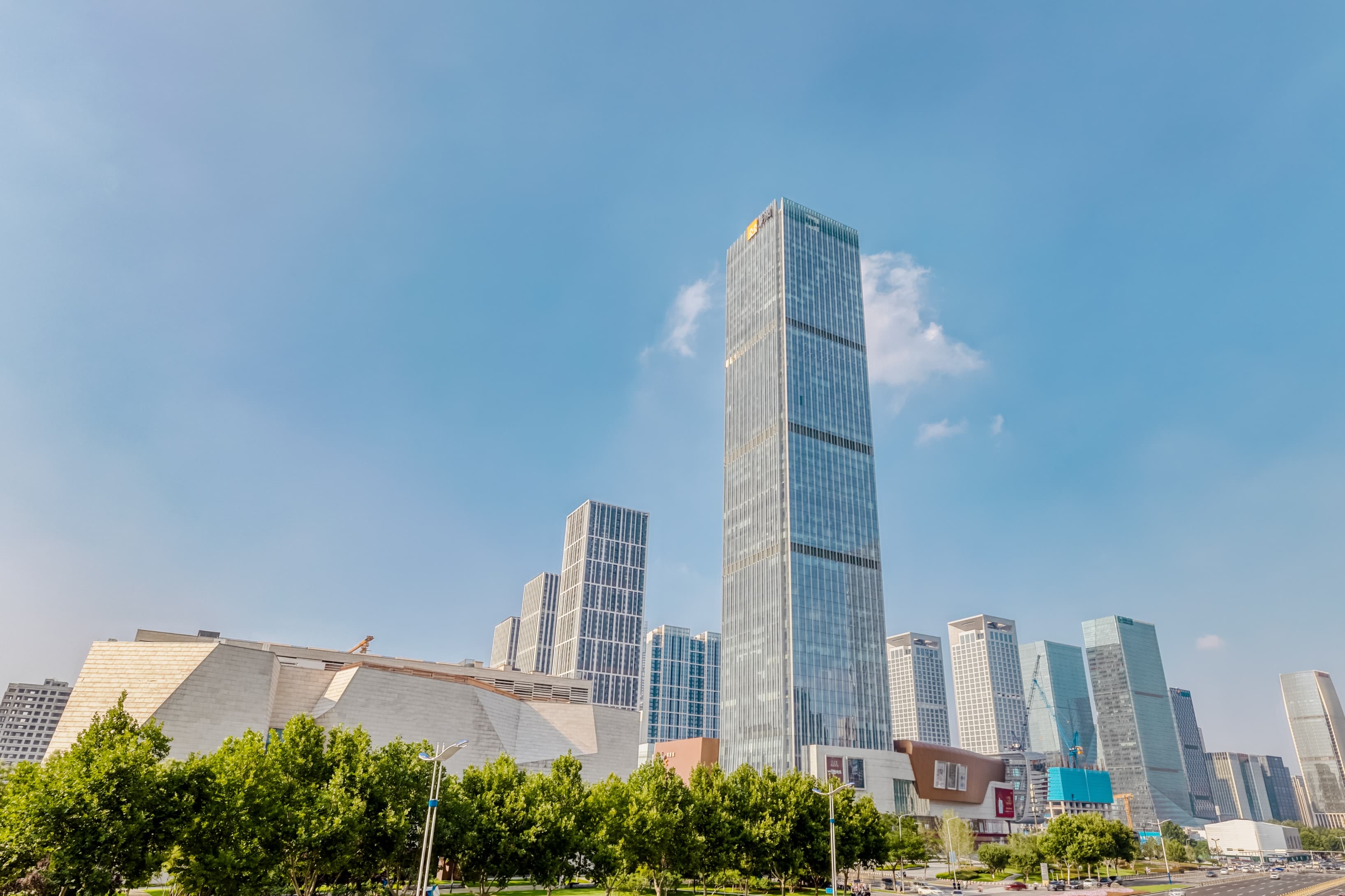 Zebra - Jinan China Resources image 8