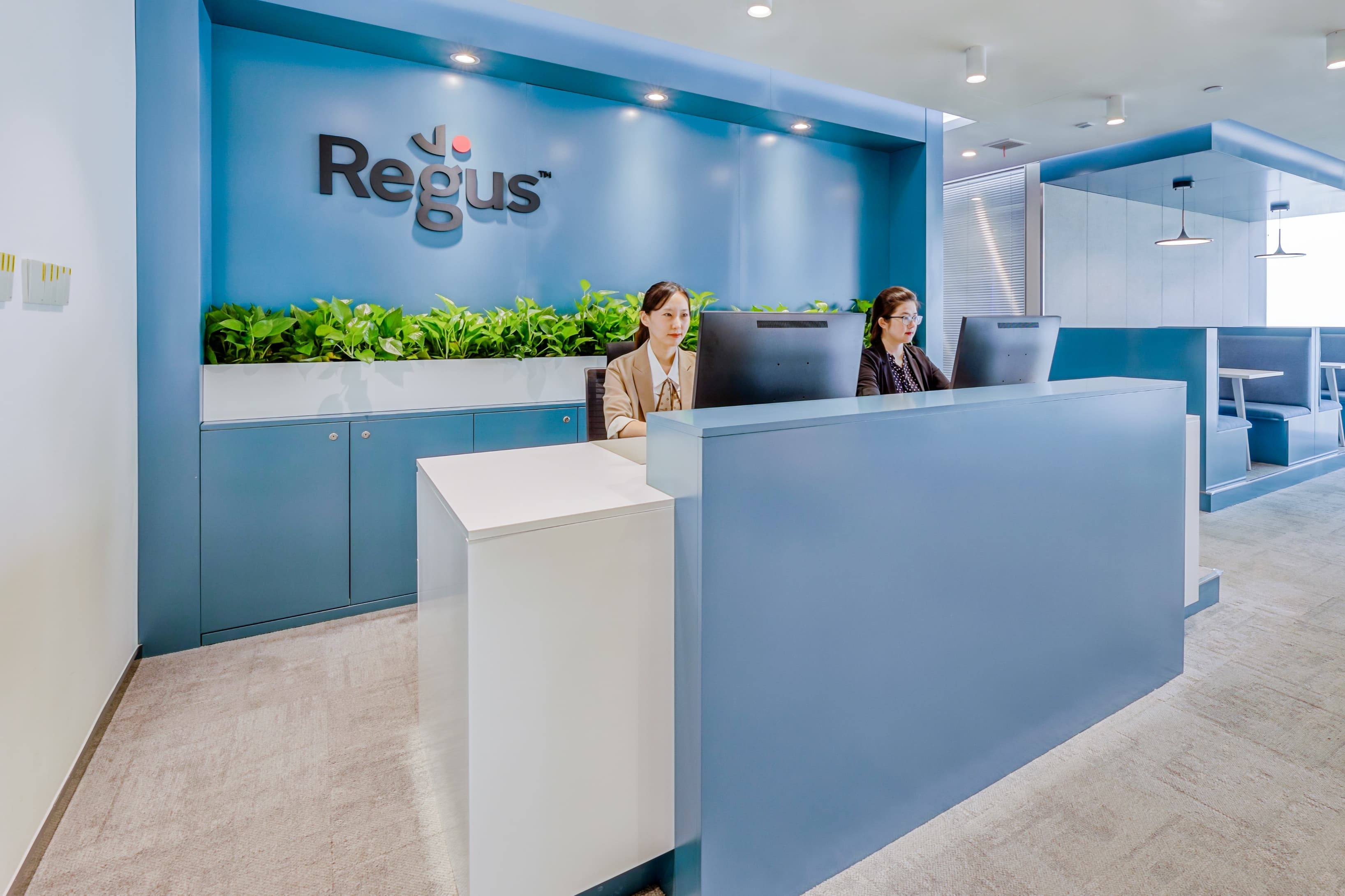 Zebra - Jinan China Resources image 9