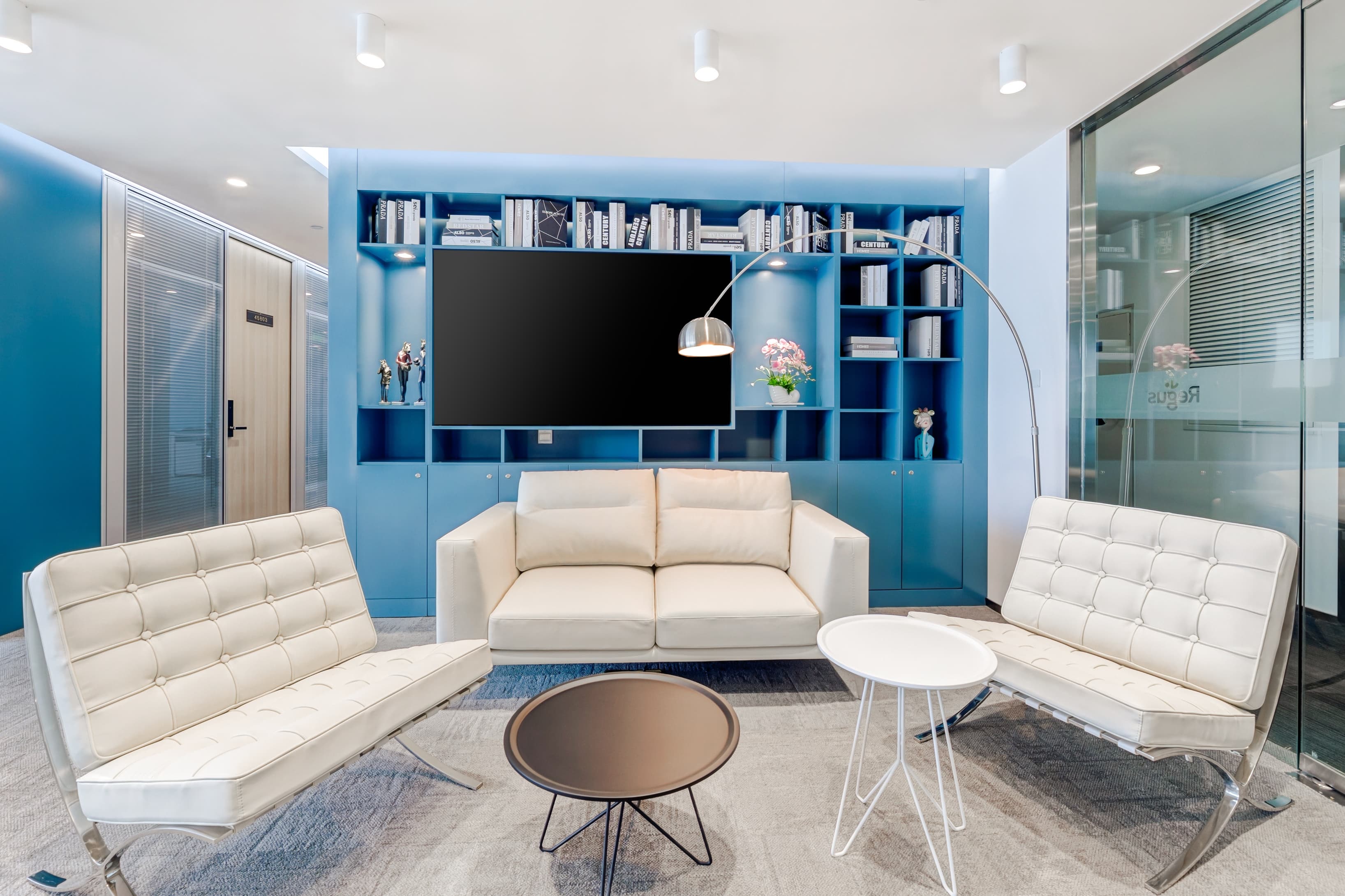 Zebra - Jinan China Resources image 5