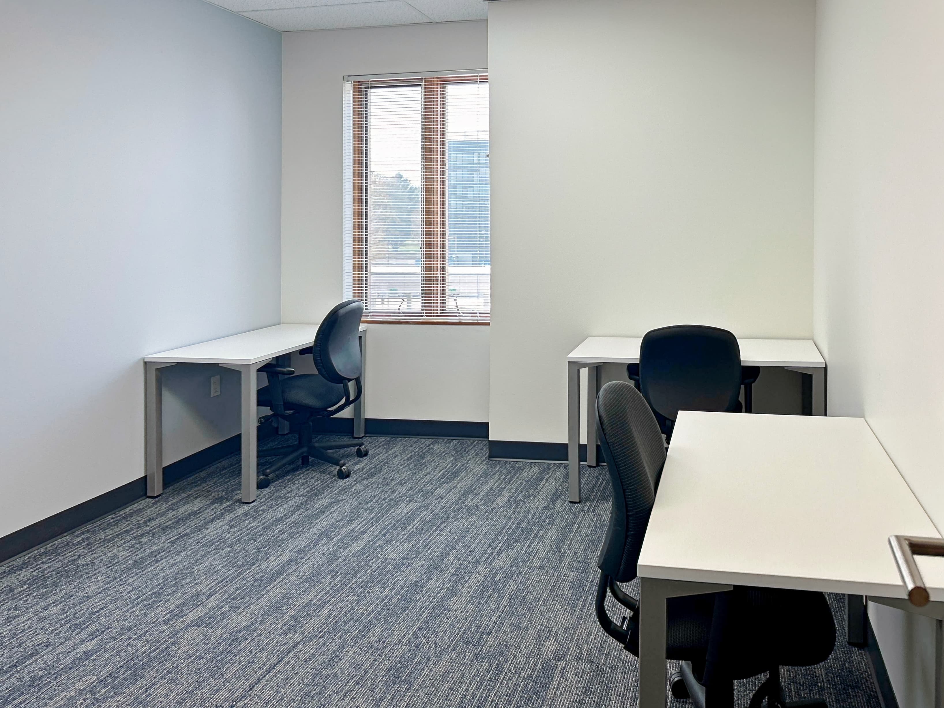 IL, Champaign – N. Randolph St image 4 IL, Champaign – N. Randolph St image 4